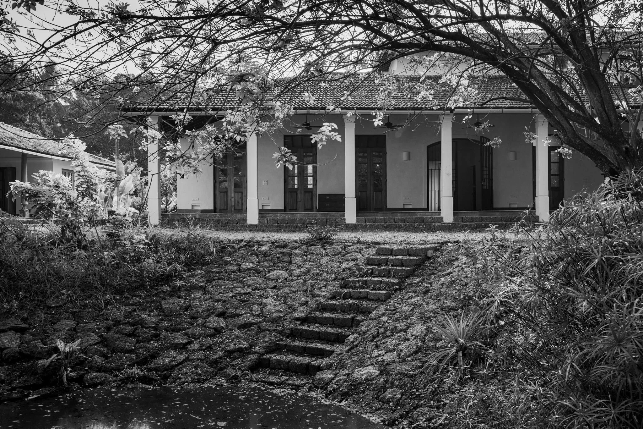 A Site Positive Approach - House with Three Pavilions