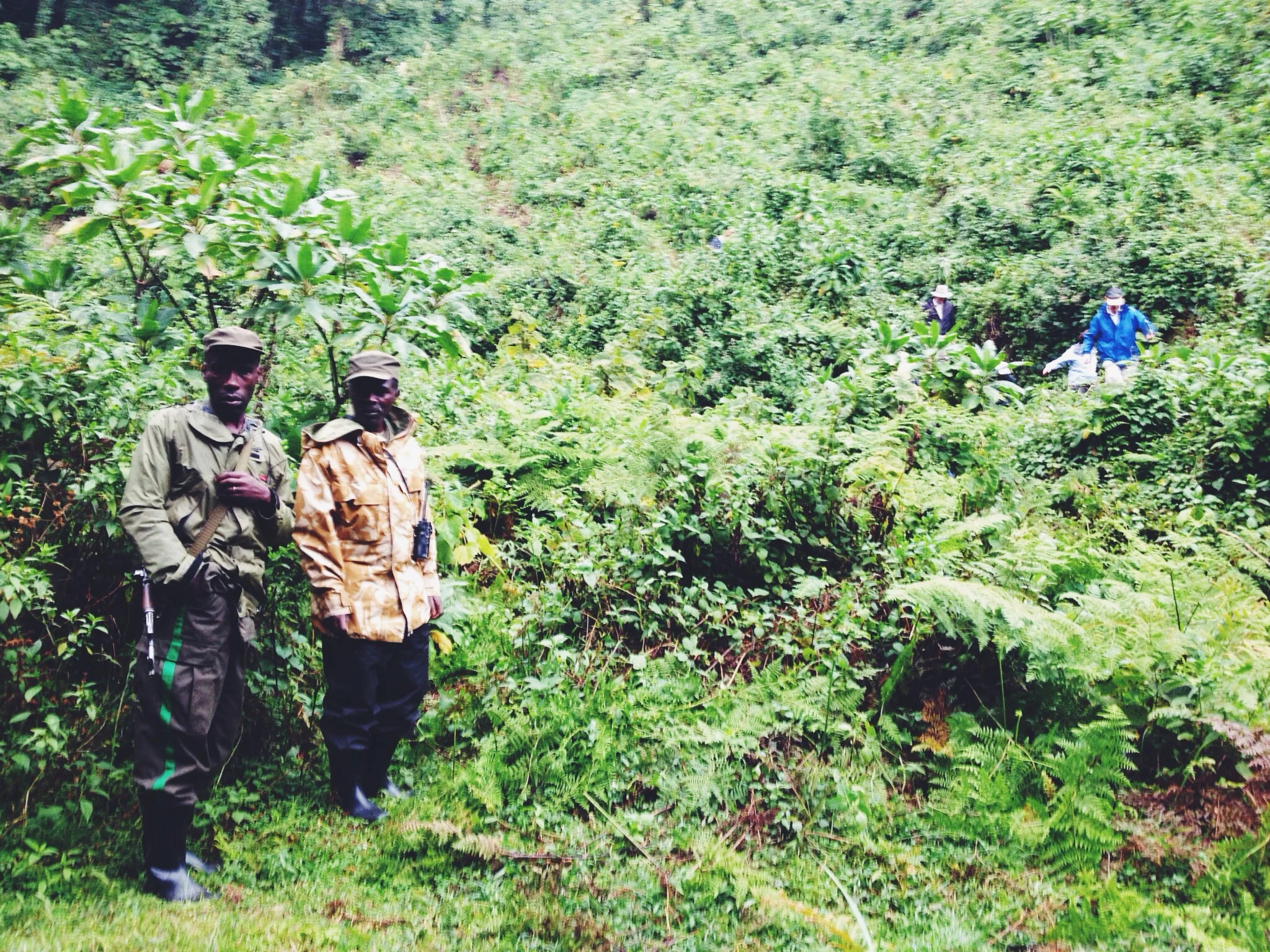 Virunga national park guide and tracker. 