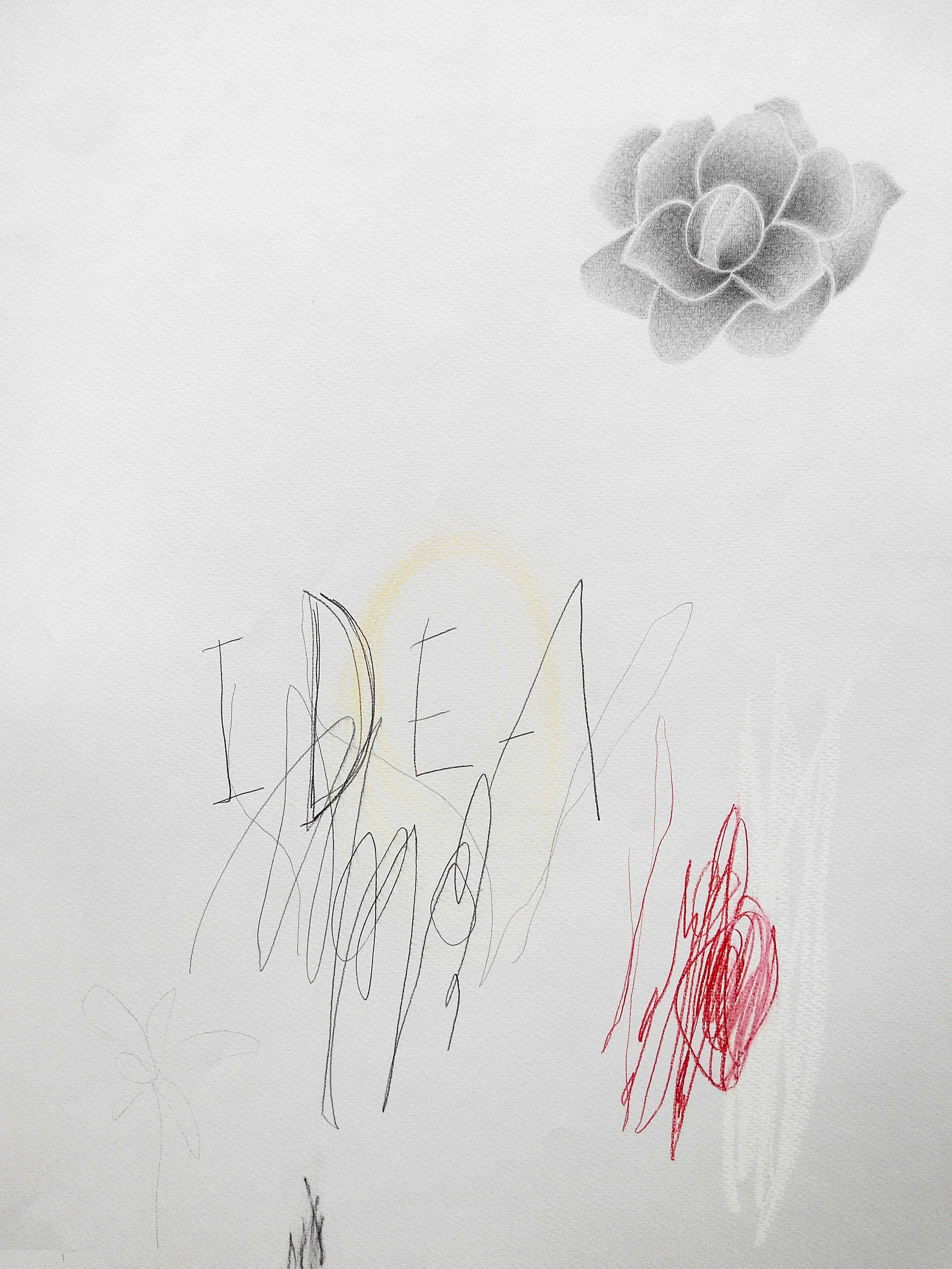 Flower and things IV , 2015, mixed media on paper, 65x50cm . Private collection, Bilbao (Spain)