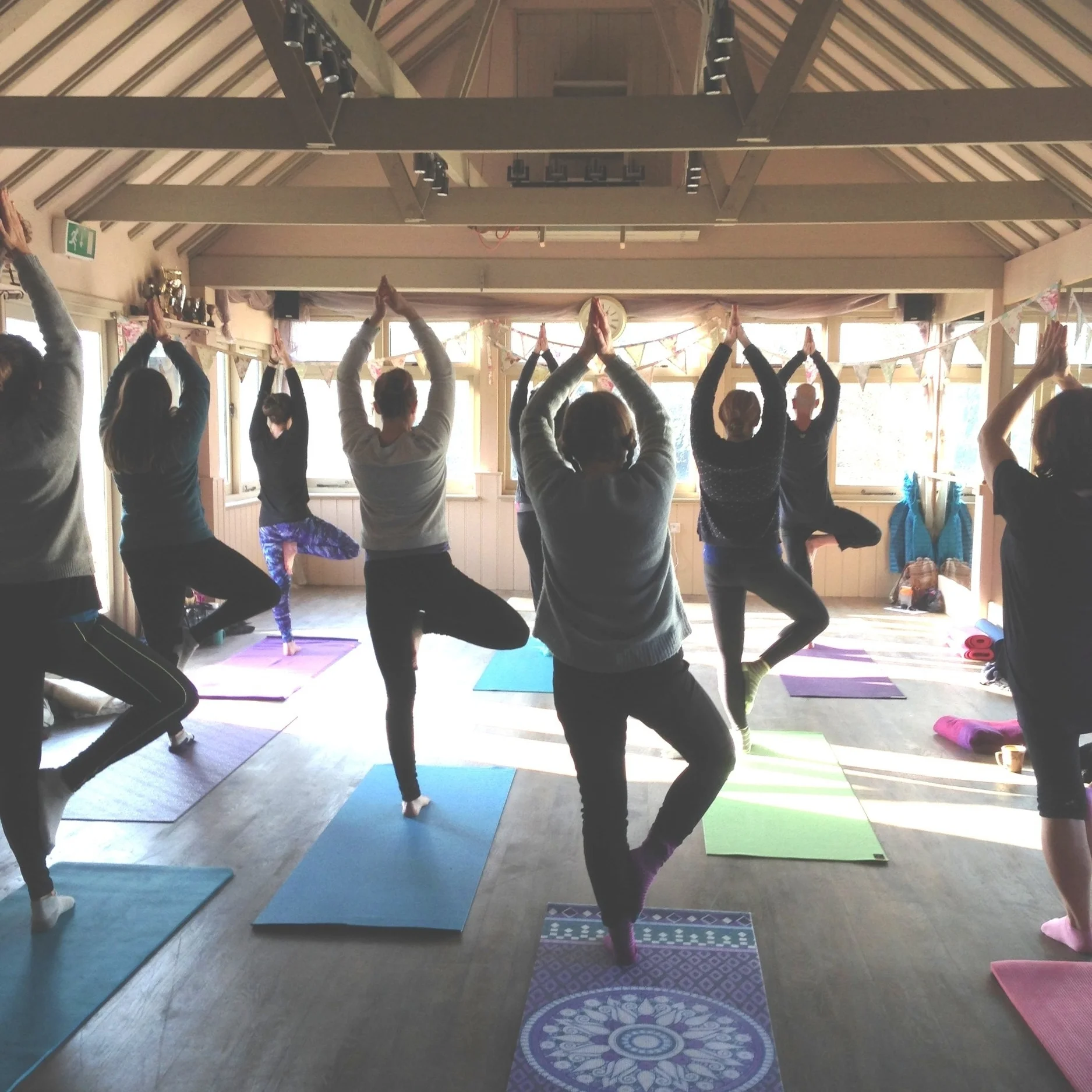 Teaching Yoga : how to turn passion into a career