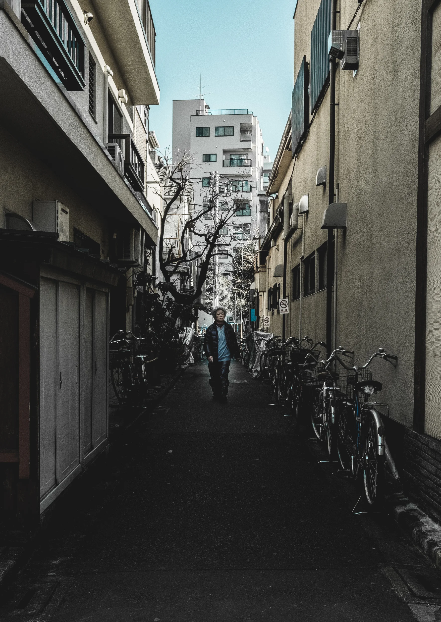 20160202_003_tokyo.jpg