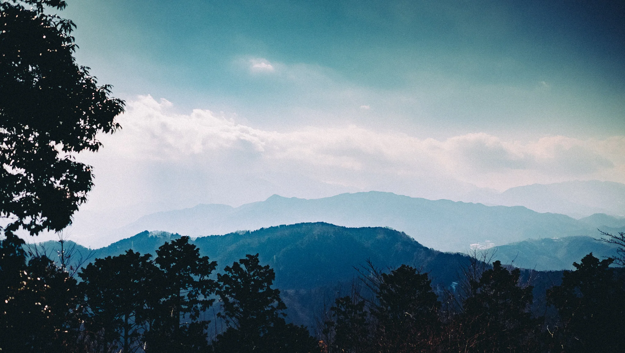 31009525302_14f35f62e8_k.jpg