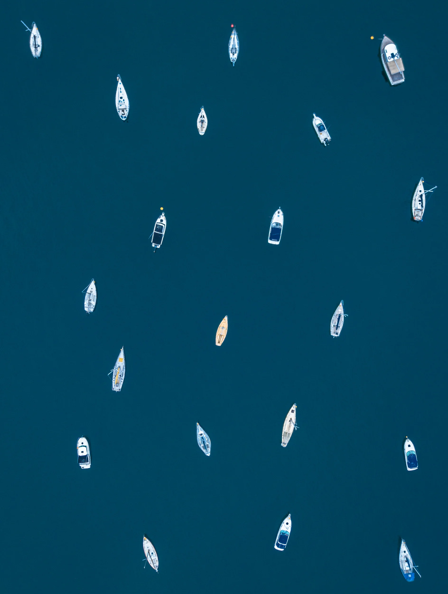 DJI_0101.jpg