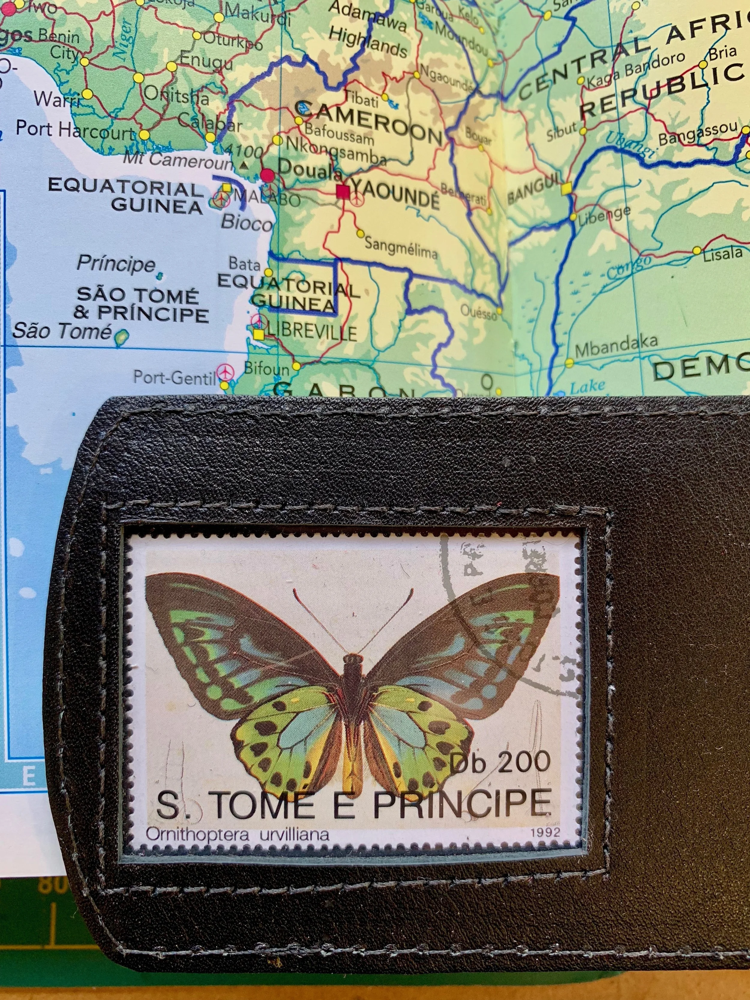 São Tome Butterfly - Black