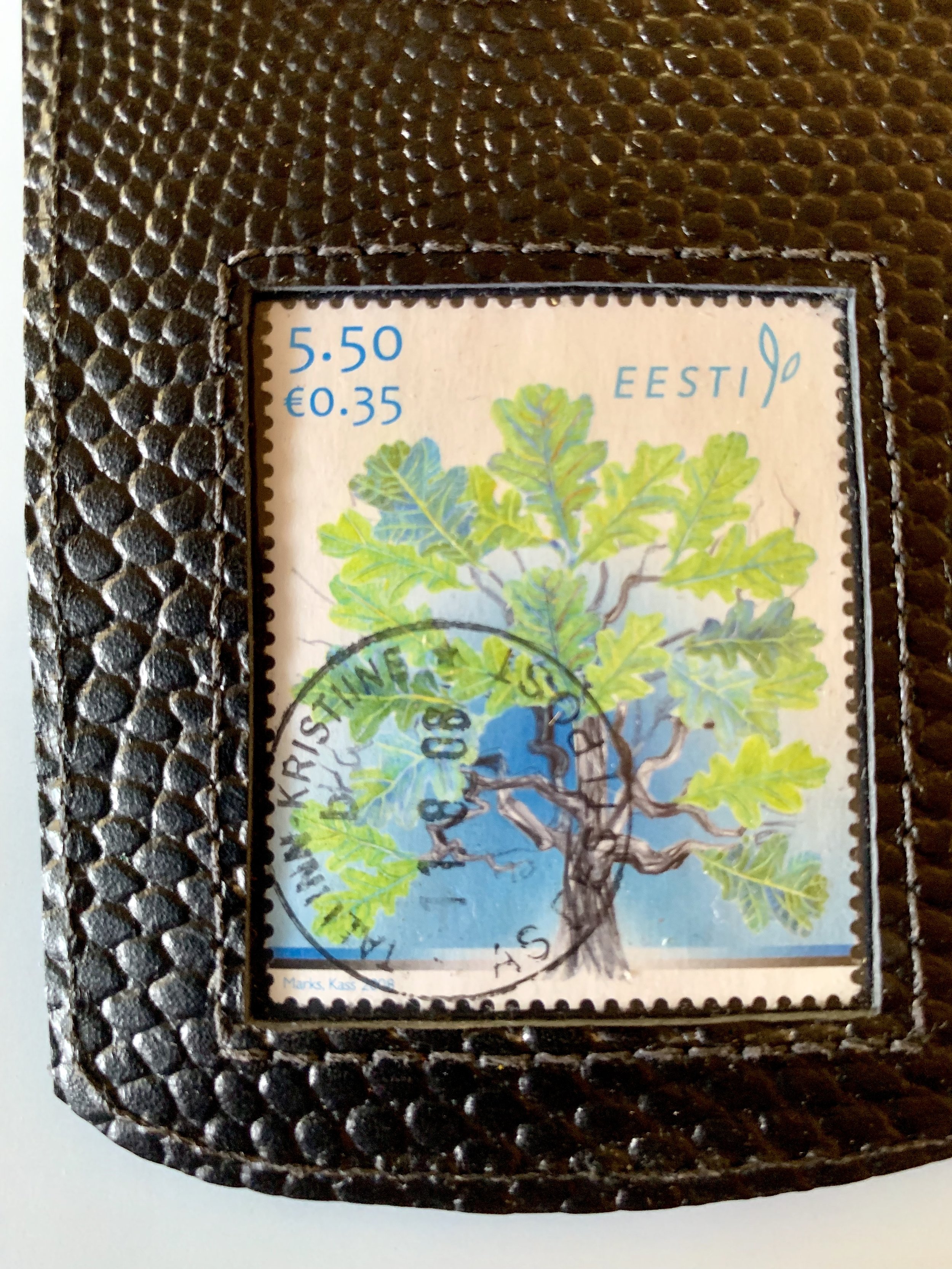 Estonian fig tree - Black pebble