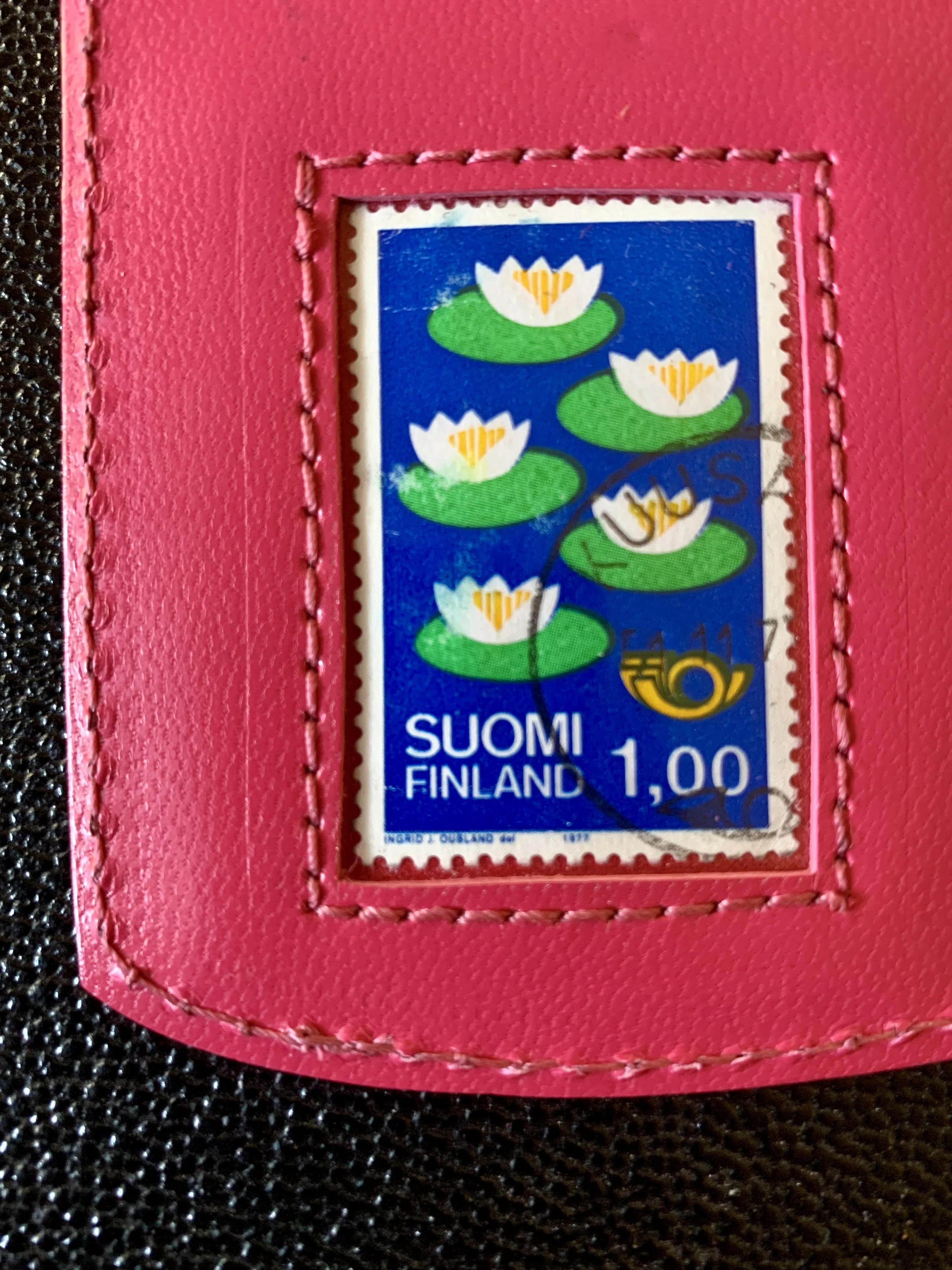 Finland water lillies - Bright pink