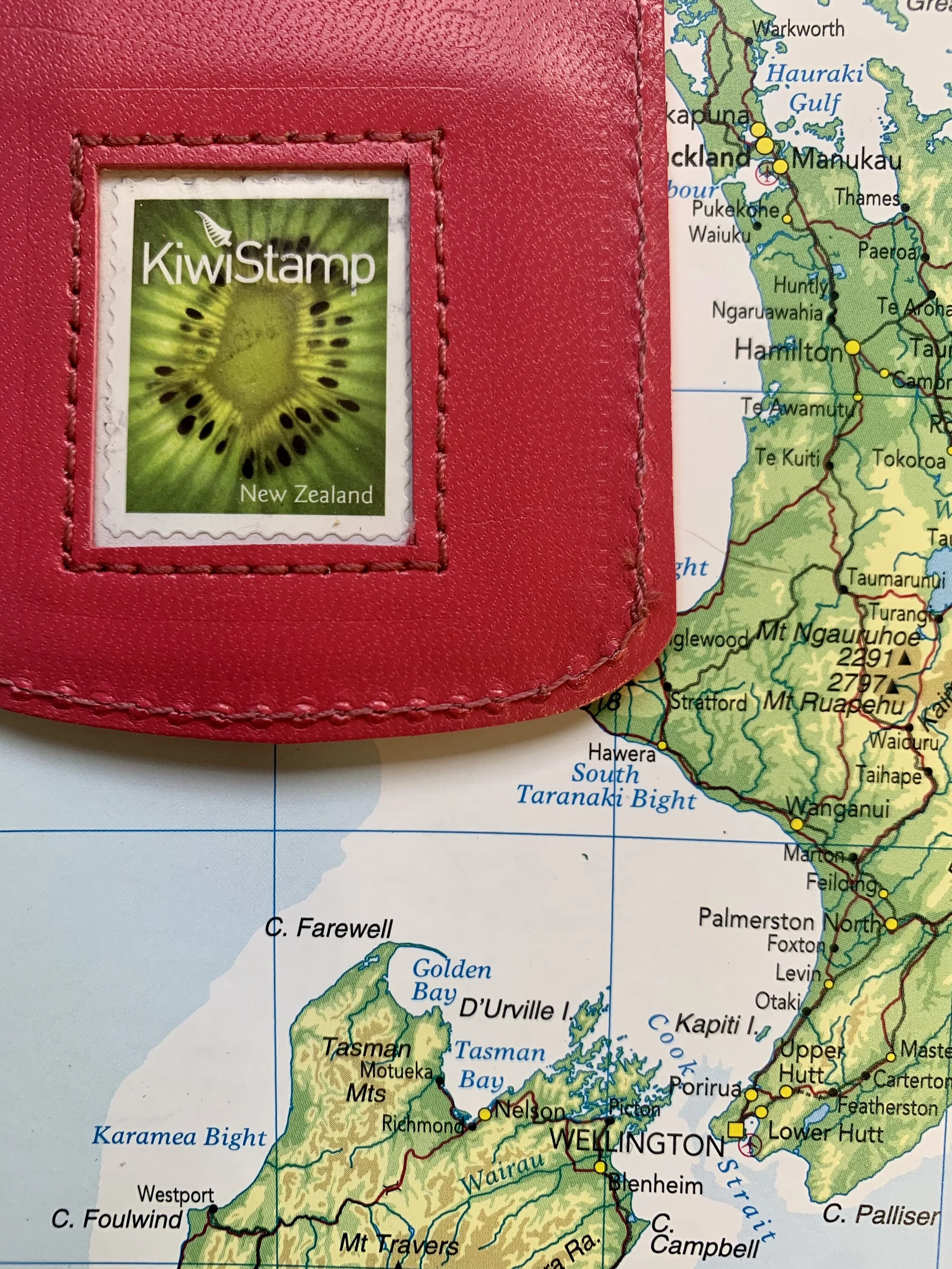 New Zealand Kiwifruit - bright pink