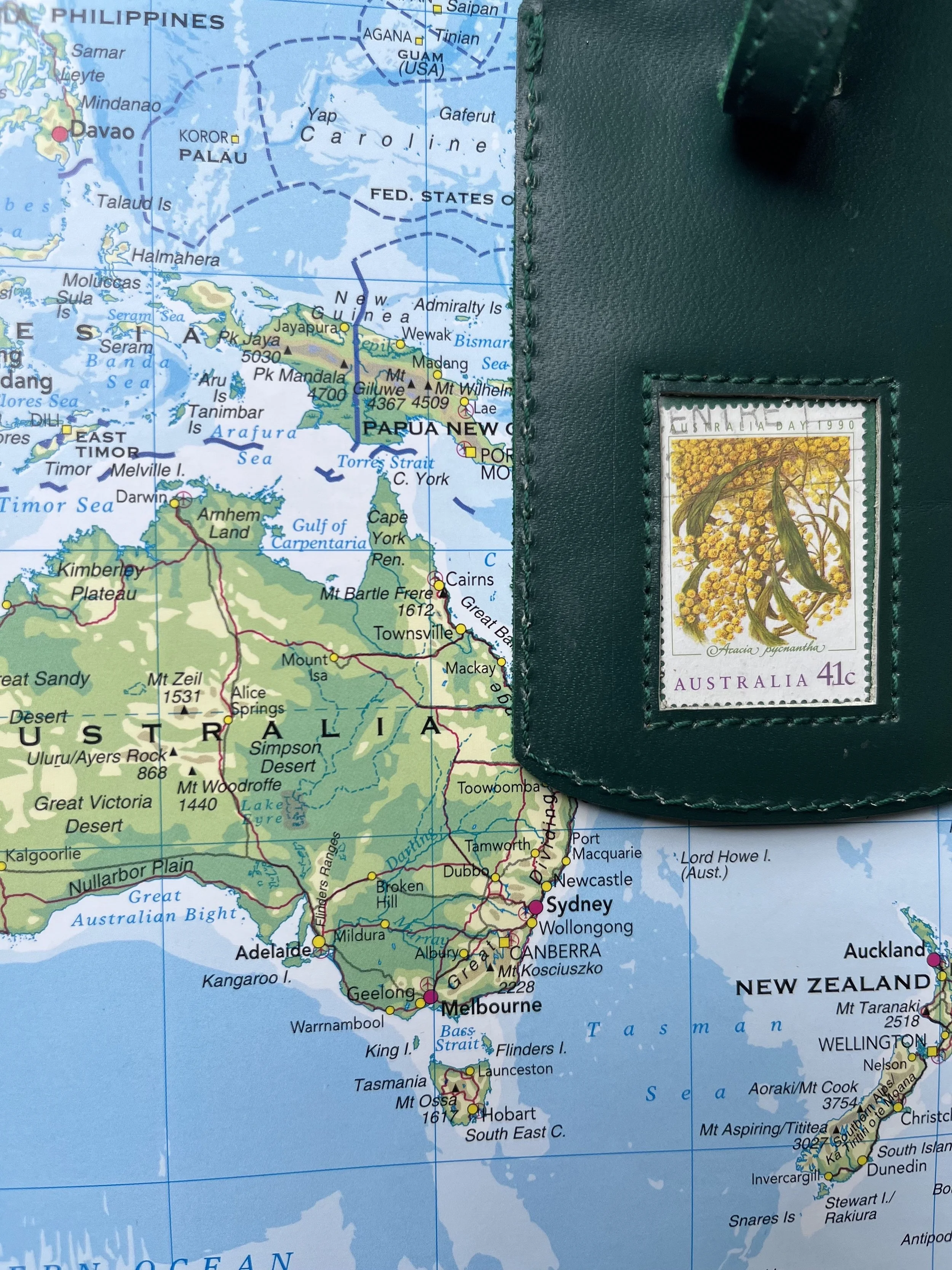 Australian wattle - green