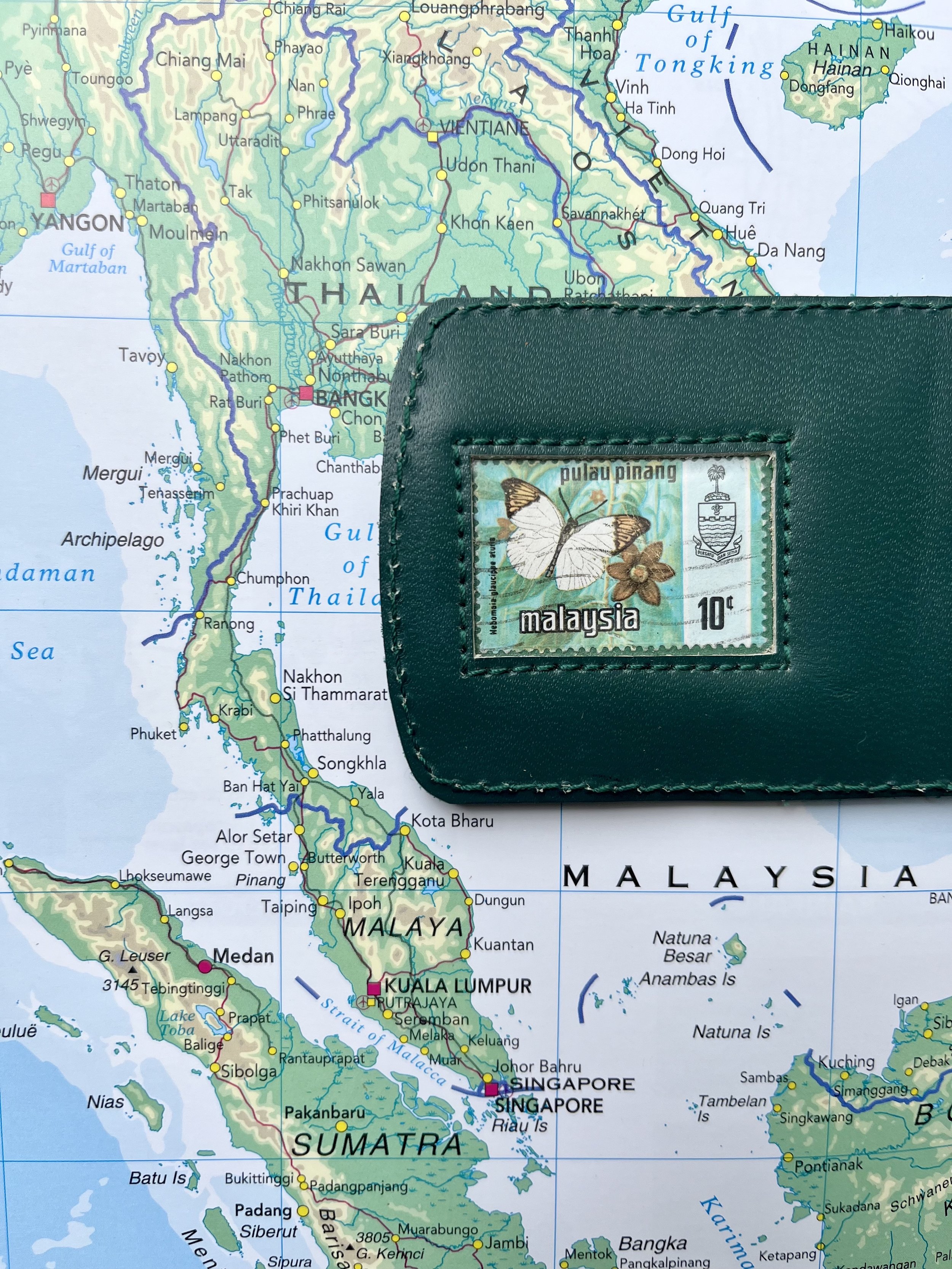 Malaysian butterfly - green