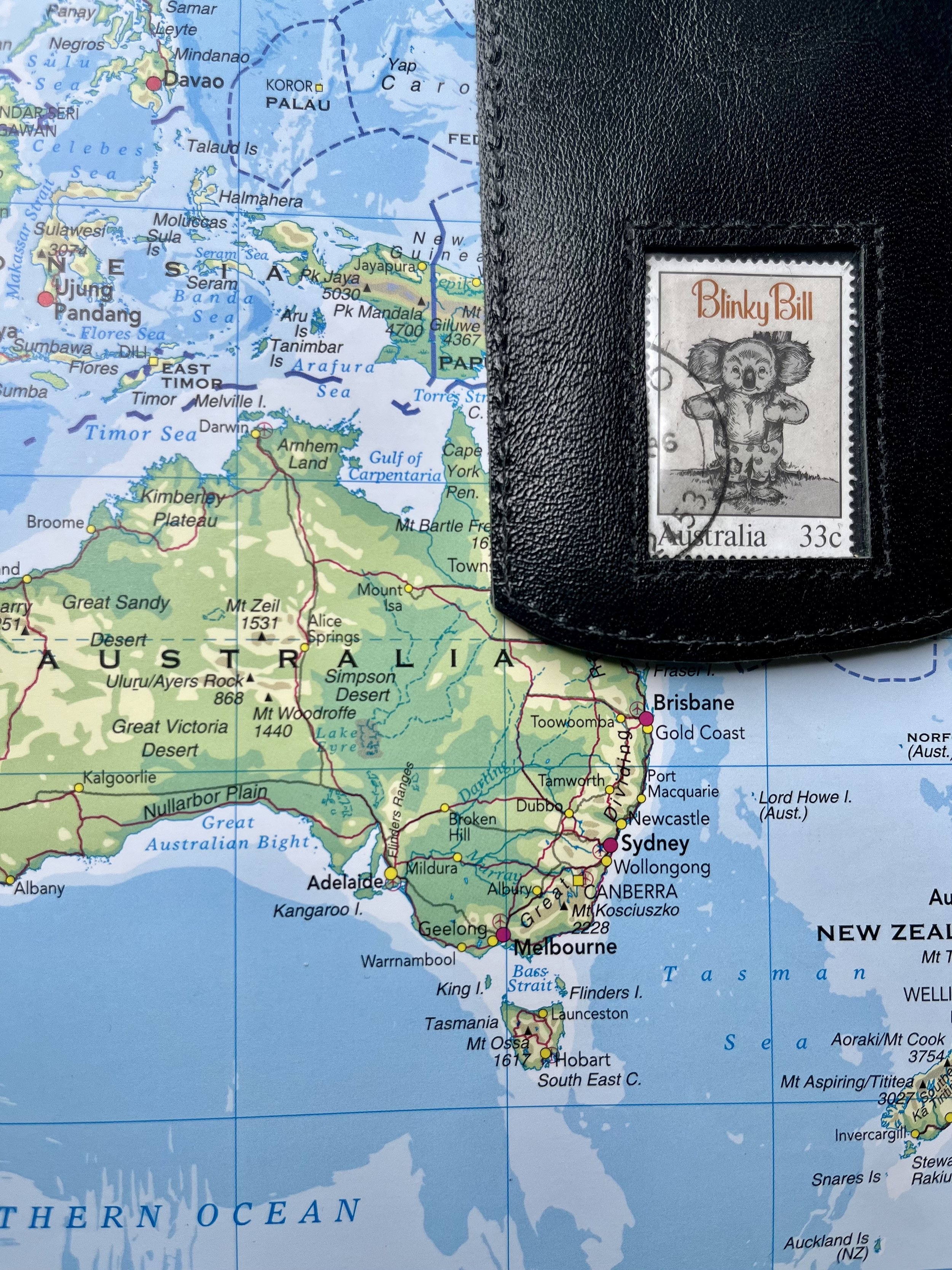 Australian Blinky Bill - black