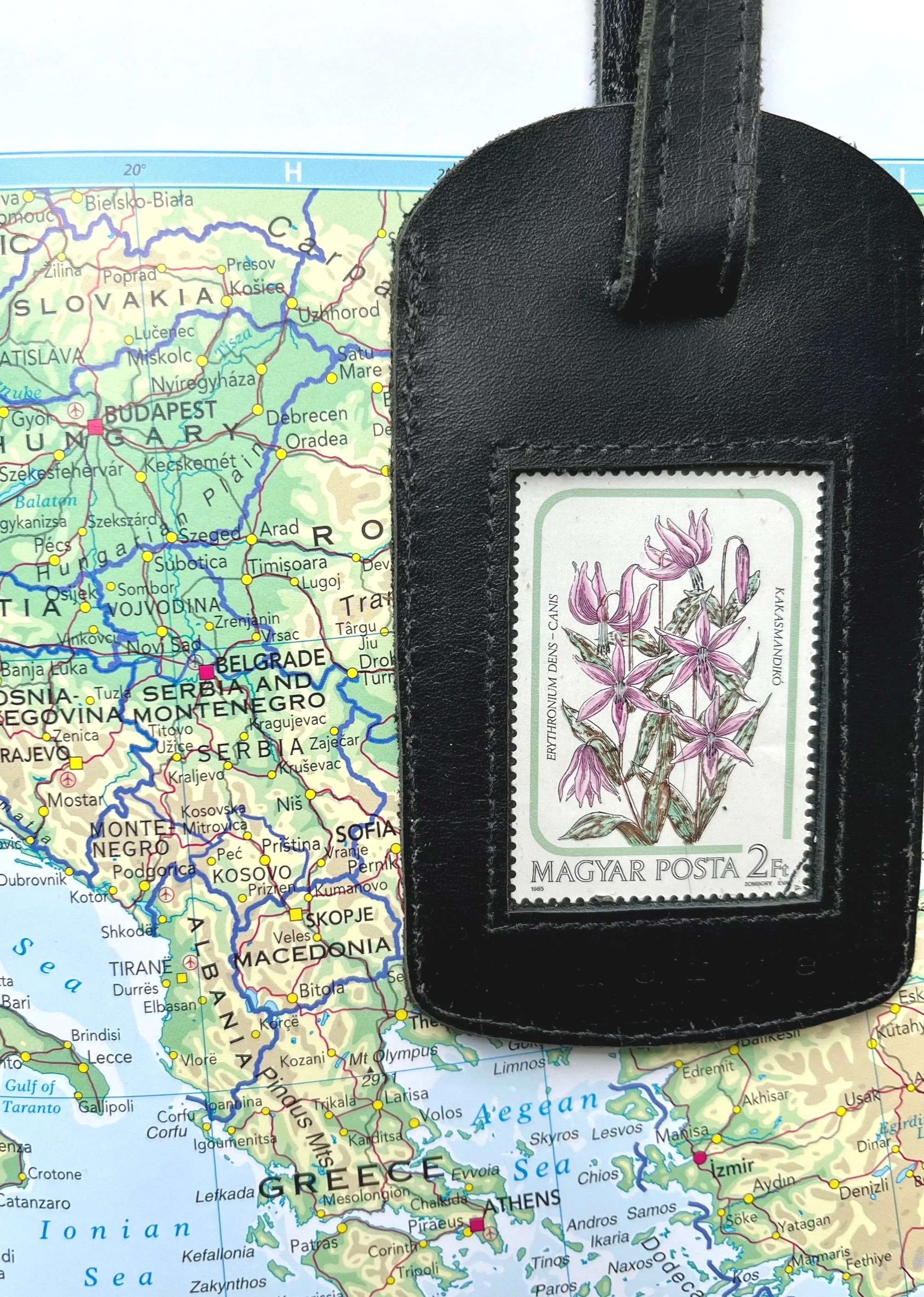 Hungarian orchids - black