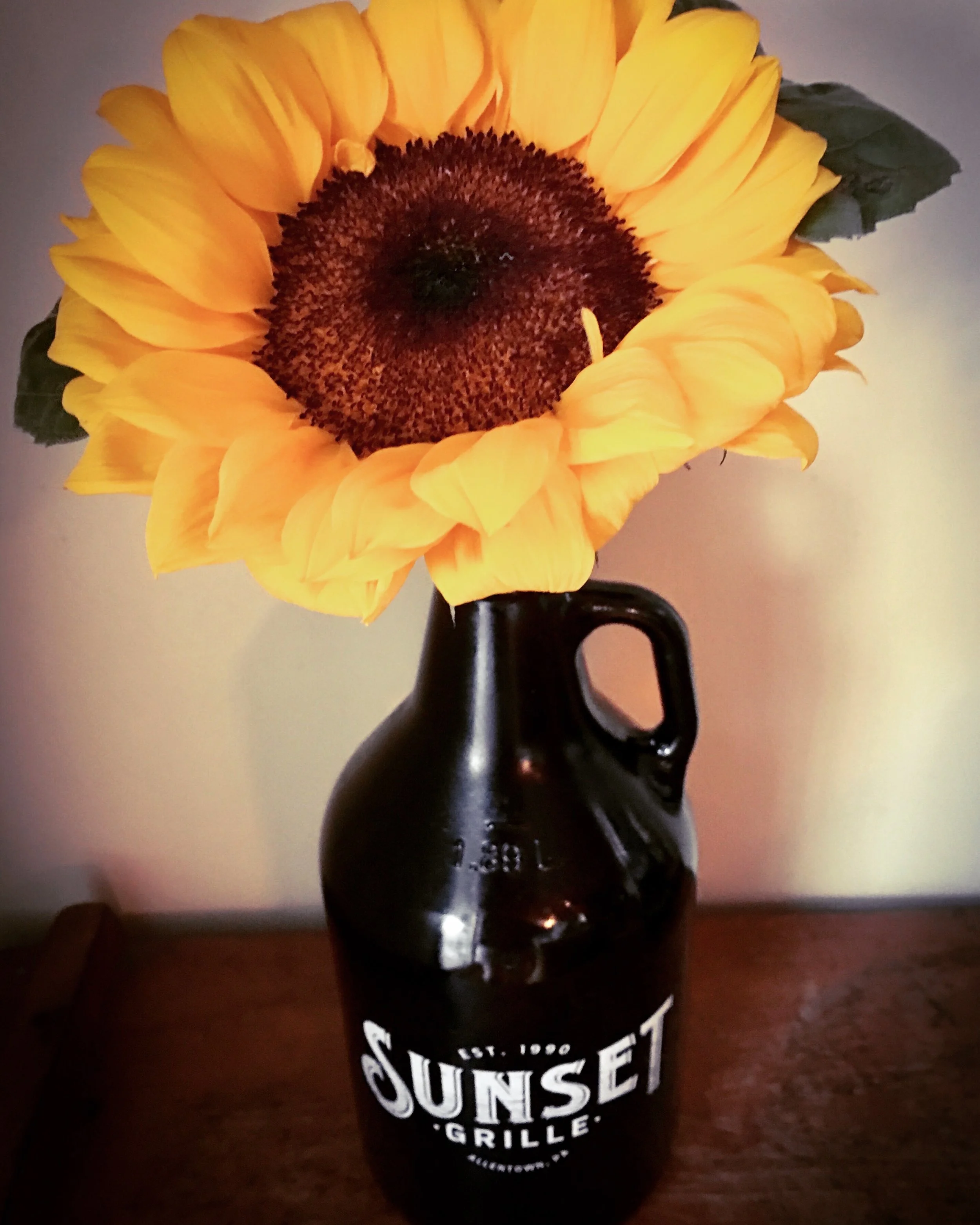 Growler Sunflower.jpg