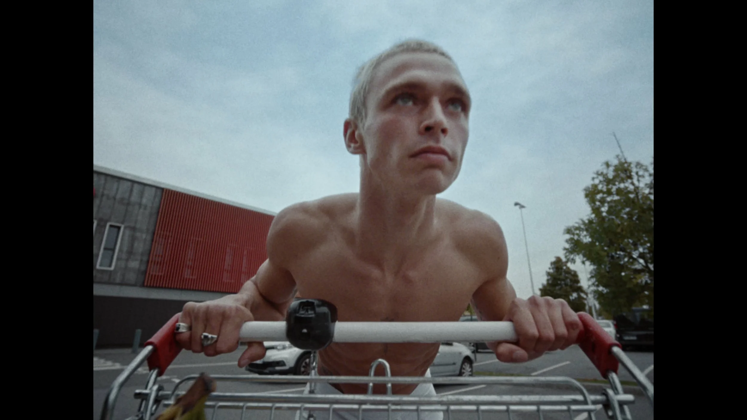 Still 2026-03-10 100123_2.1.10.jpg