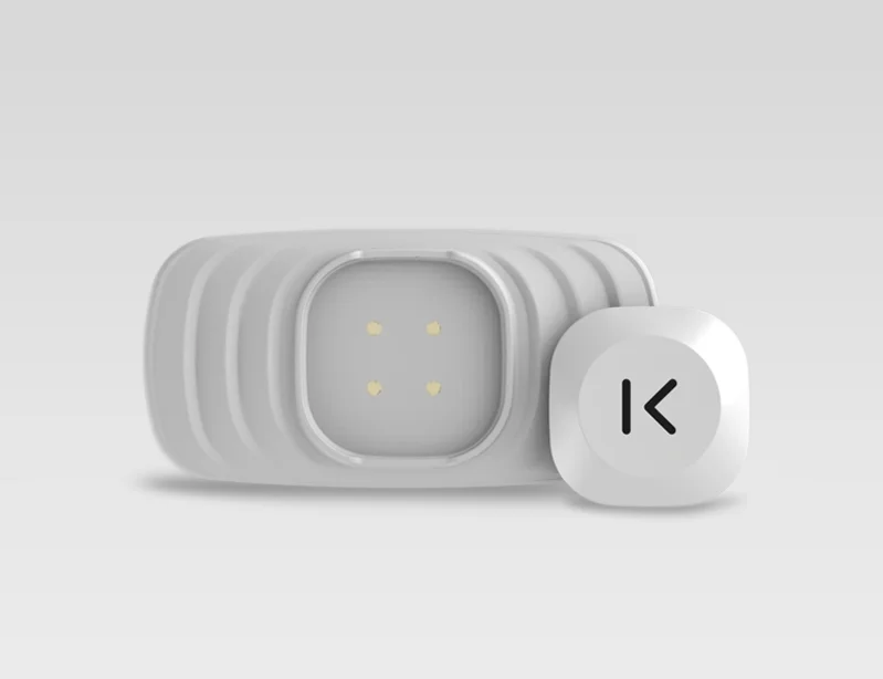 kenzen_thumbnail_grey.jpg