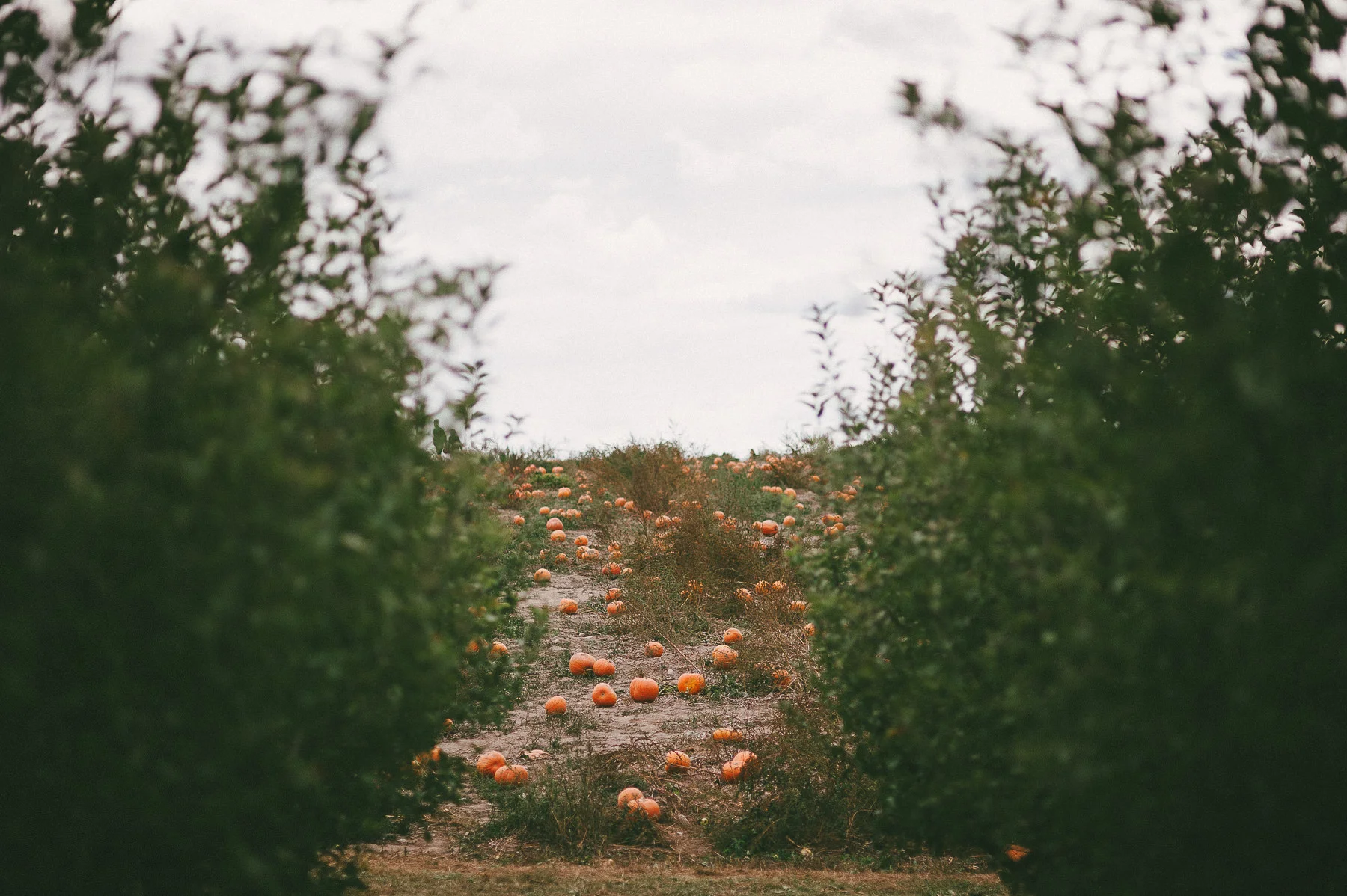 breighton-and-basette-photography-copyrighted-image-blog-amanda-and-eric-proposal-071.jpg