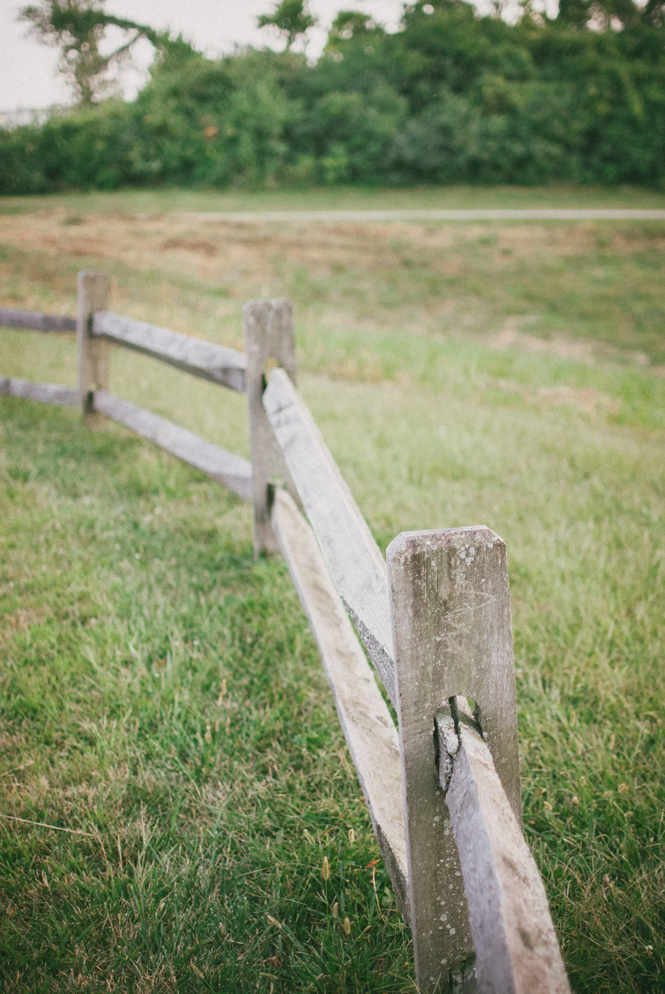 breighton-and-basette-photography-copyrighted-image-portfolio-type-num007.jpg
