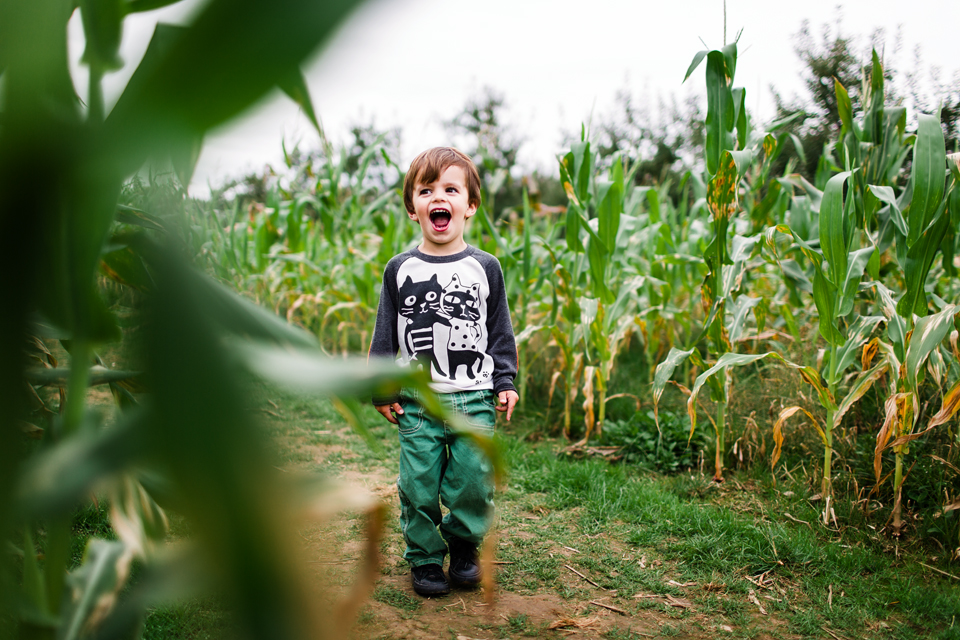 Apple Ochard Fun -- Cleveland, Ohio
