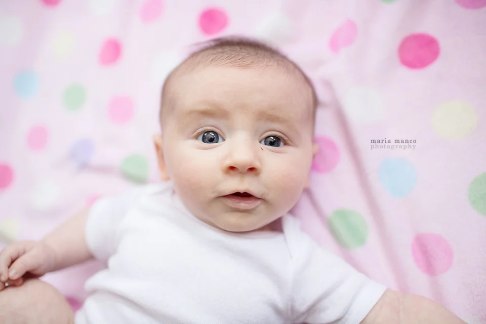 An old friend and her new family - Josie - 10 weeks old