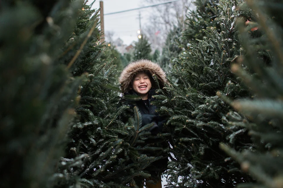 Smith's at the Tree Farm