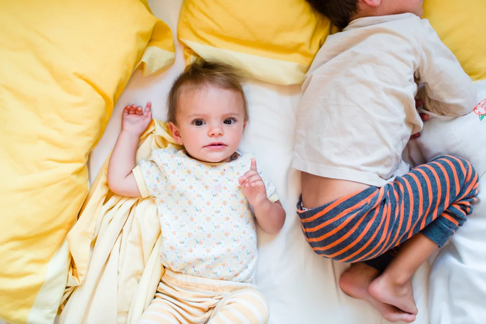 Summer 2014 in Review