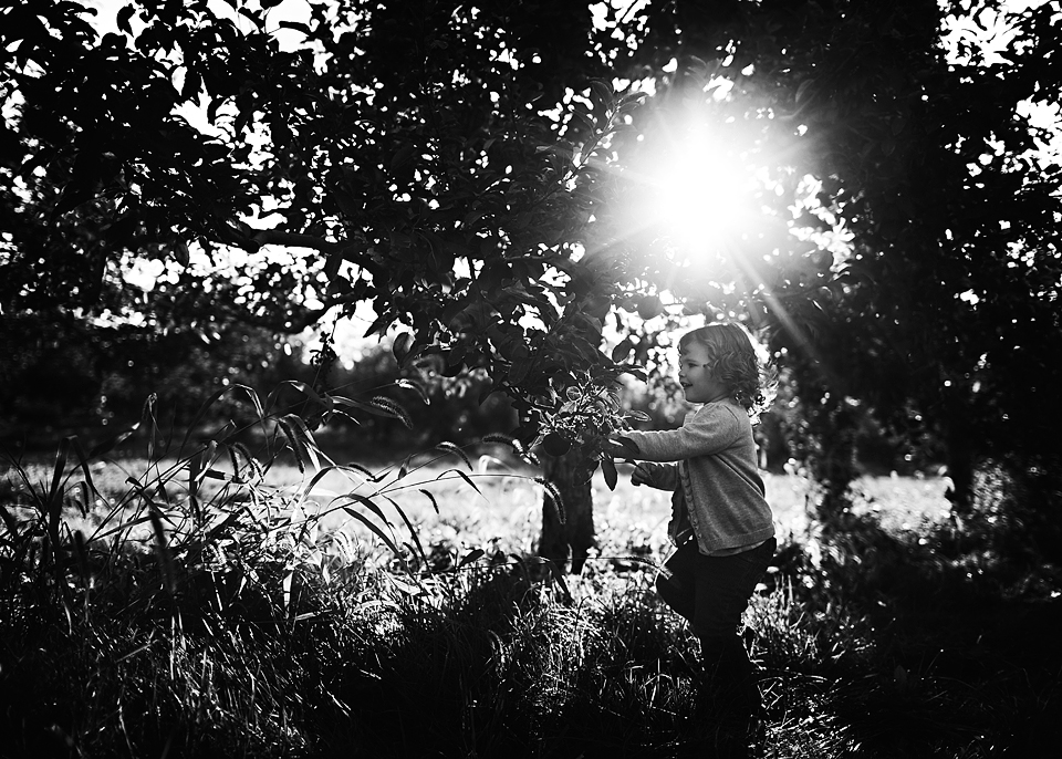 The Mulcahy Family - Apple Orchard Session