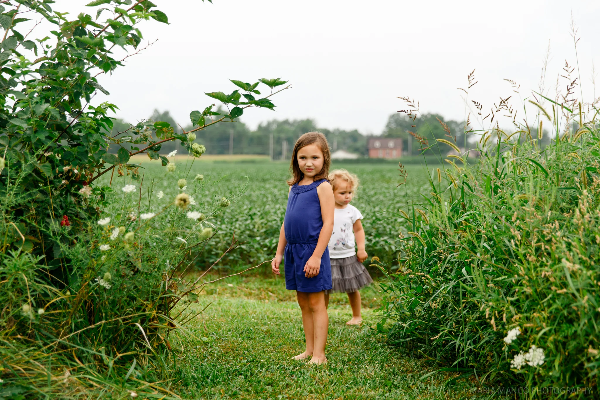 20150817-5P4A0216untitled.jpg