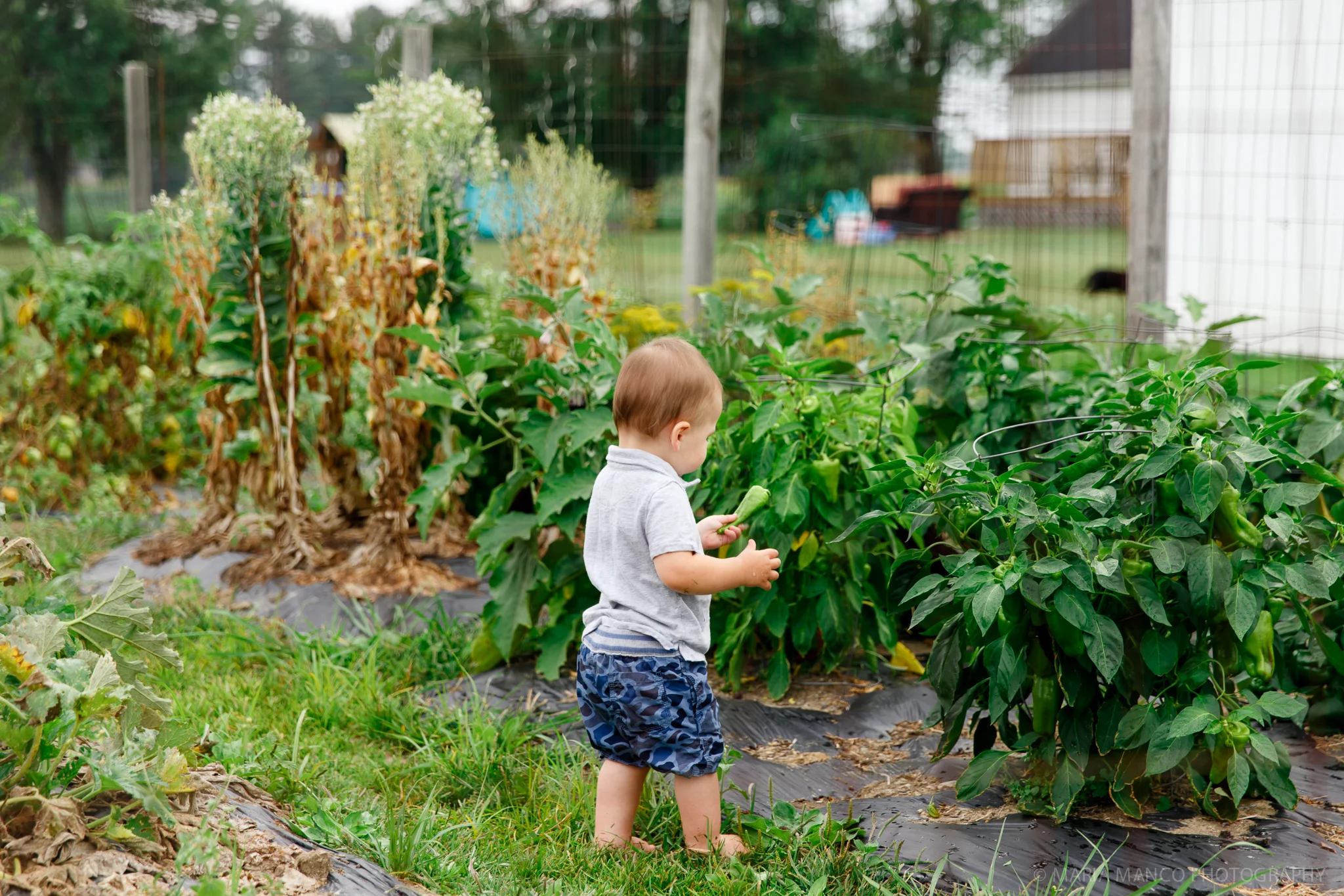 20150817-5P4A0231untitled.jpg