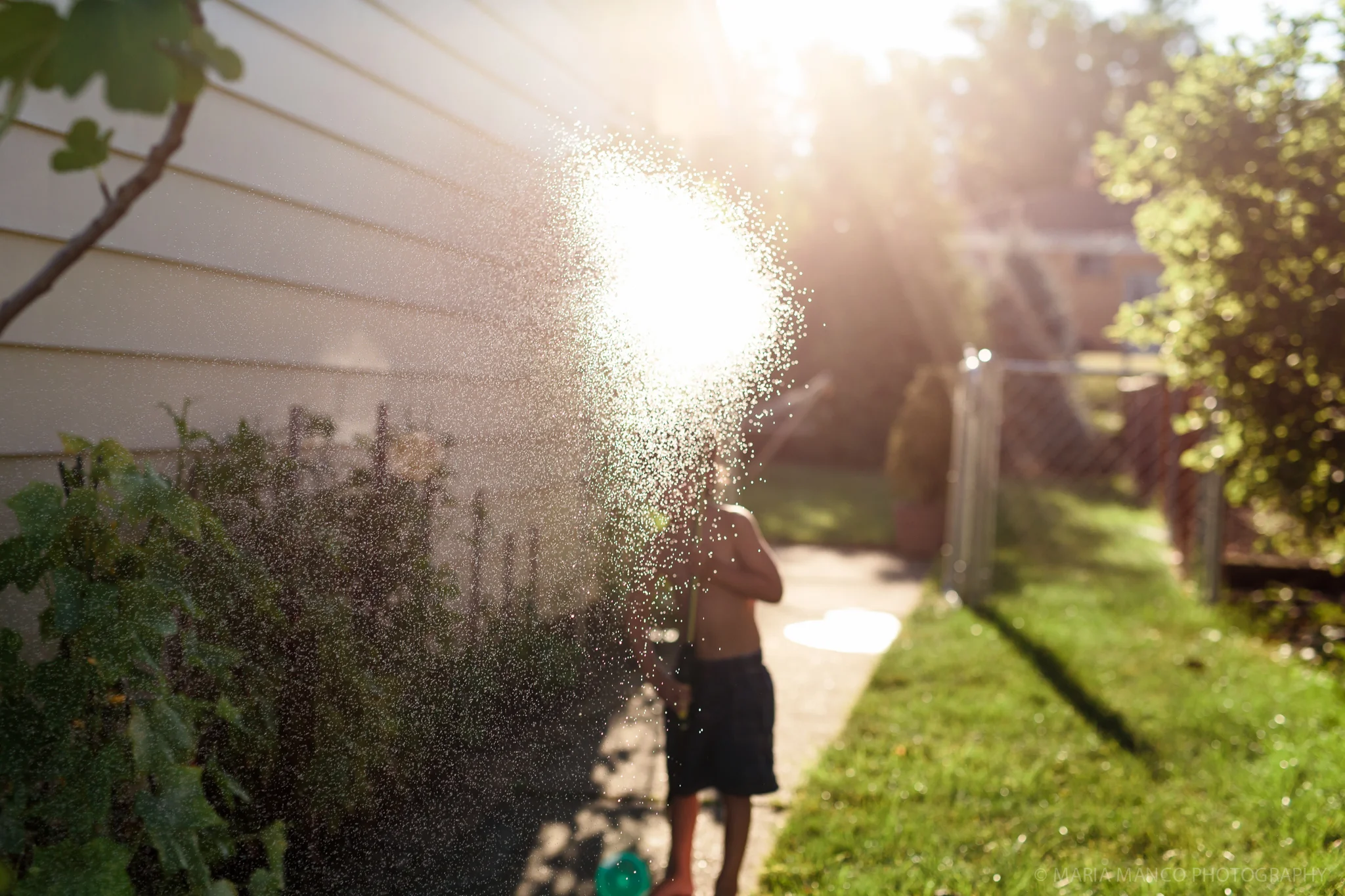 20150802-5P4A6409untitled.jpg