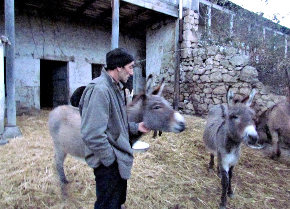 Арам Авакян и обитатели его фермы ©Евгения Филатова