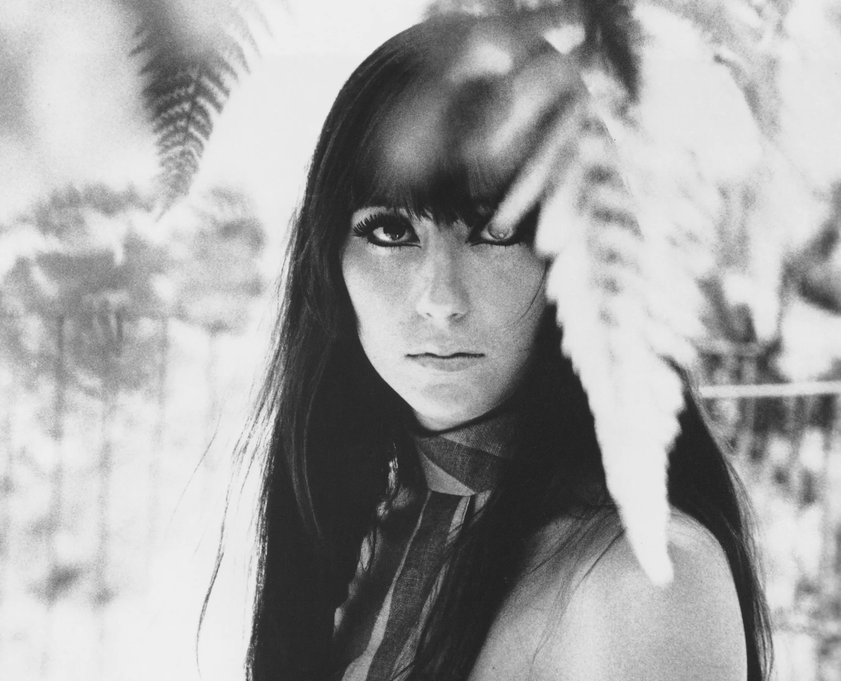 «Никто не защищает армян от Азербайджана»: Шер осудила безразличие к обстрелам Армении