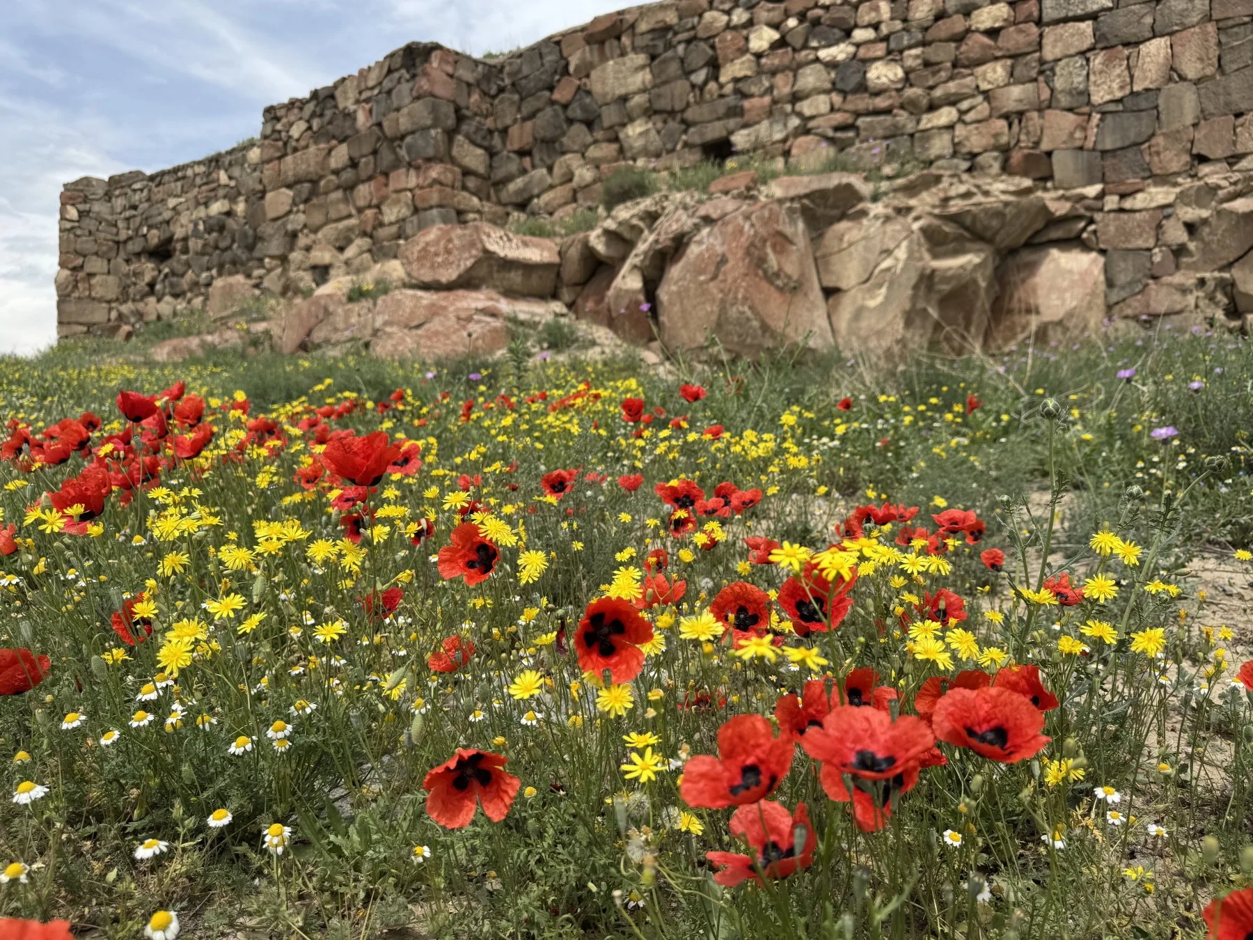 Тайны урартских крепостей. Чем продолжают удивлять урарты — разгадываем с 3D-реконструктором!