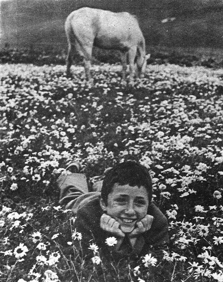 мальчик в поле 1970.jpg