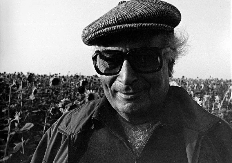 Земляк Нарекаци: курдский писатель Яшар Кемаль