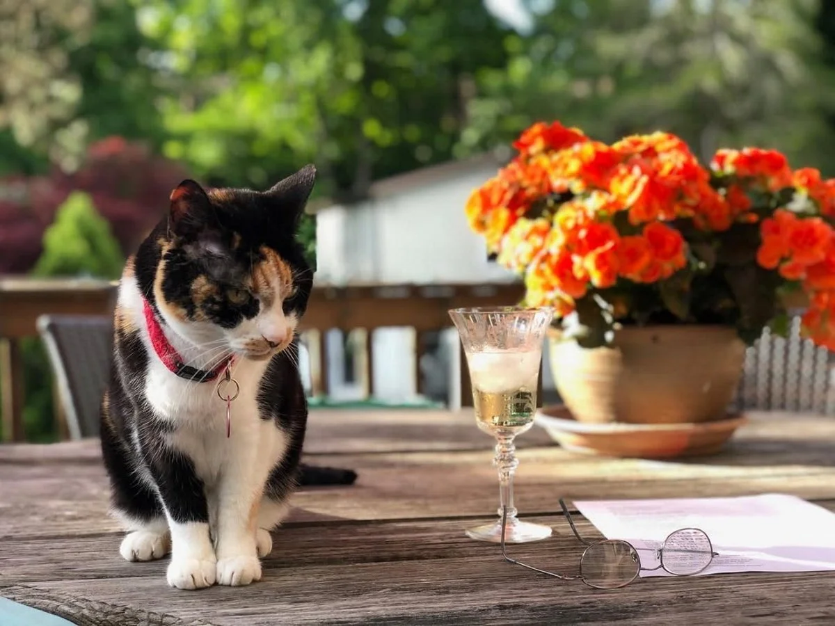 Право на счастье в поэзии Грегори Джаникяна