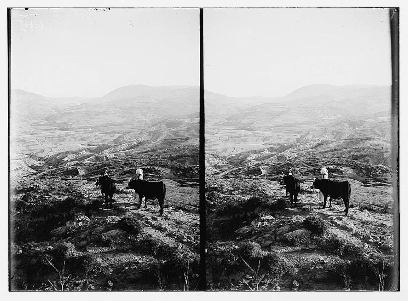 Государство в государстве: история армянской общины Ливана 