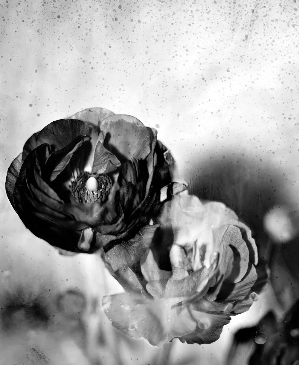 Scan017.jpg