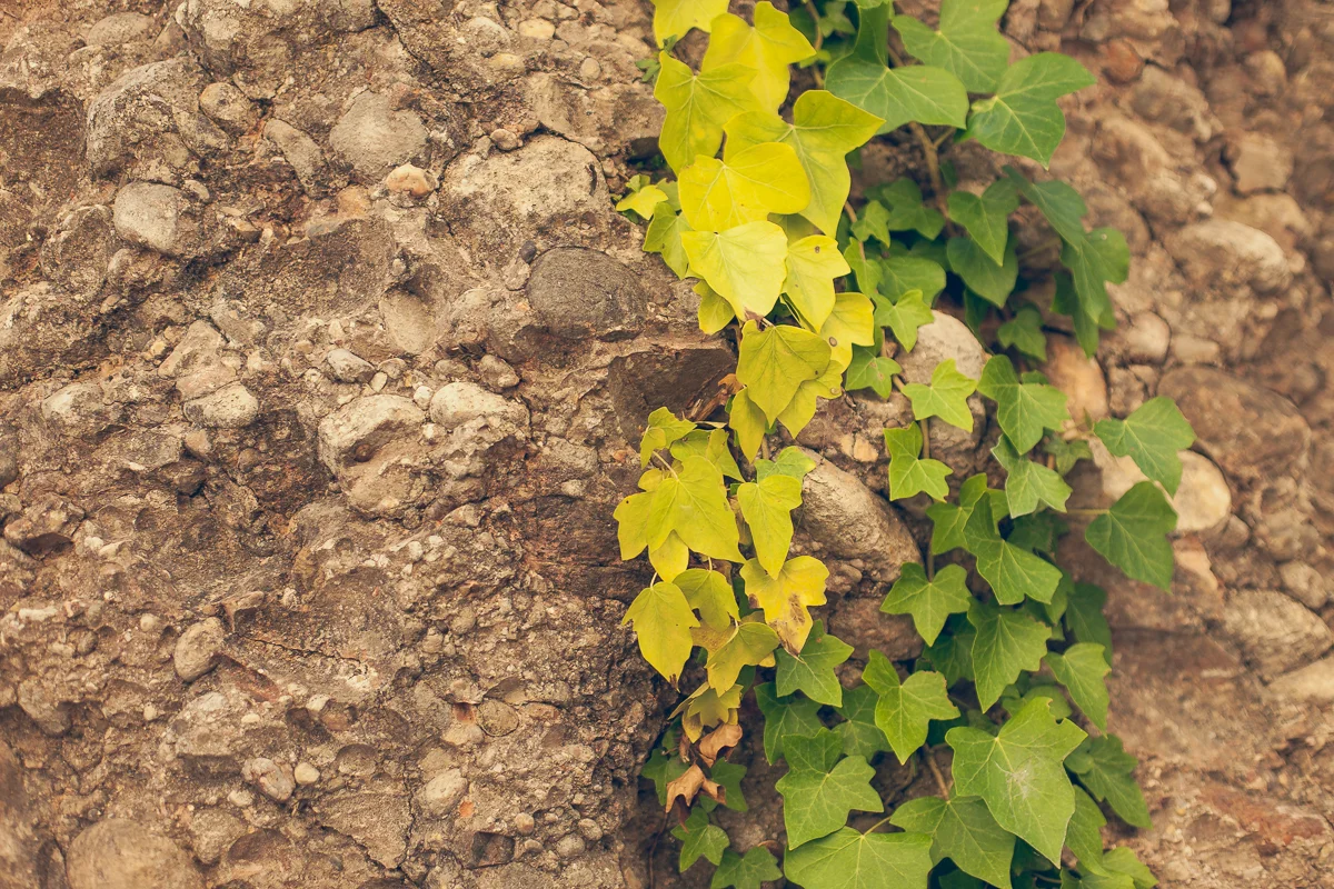20141003-_MG_5179.jpg