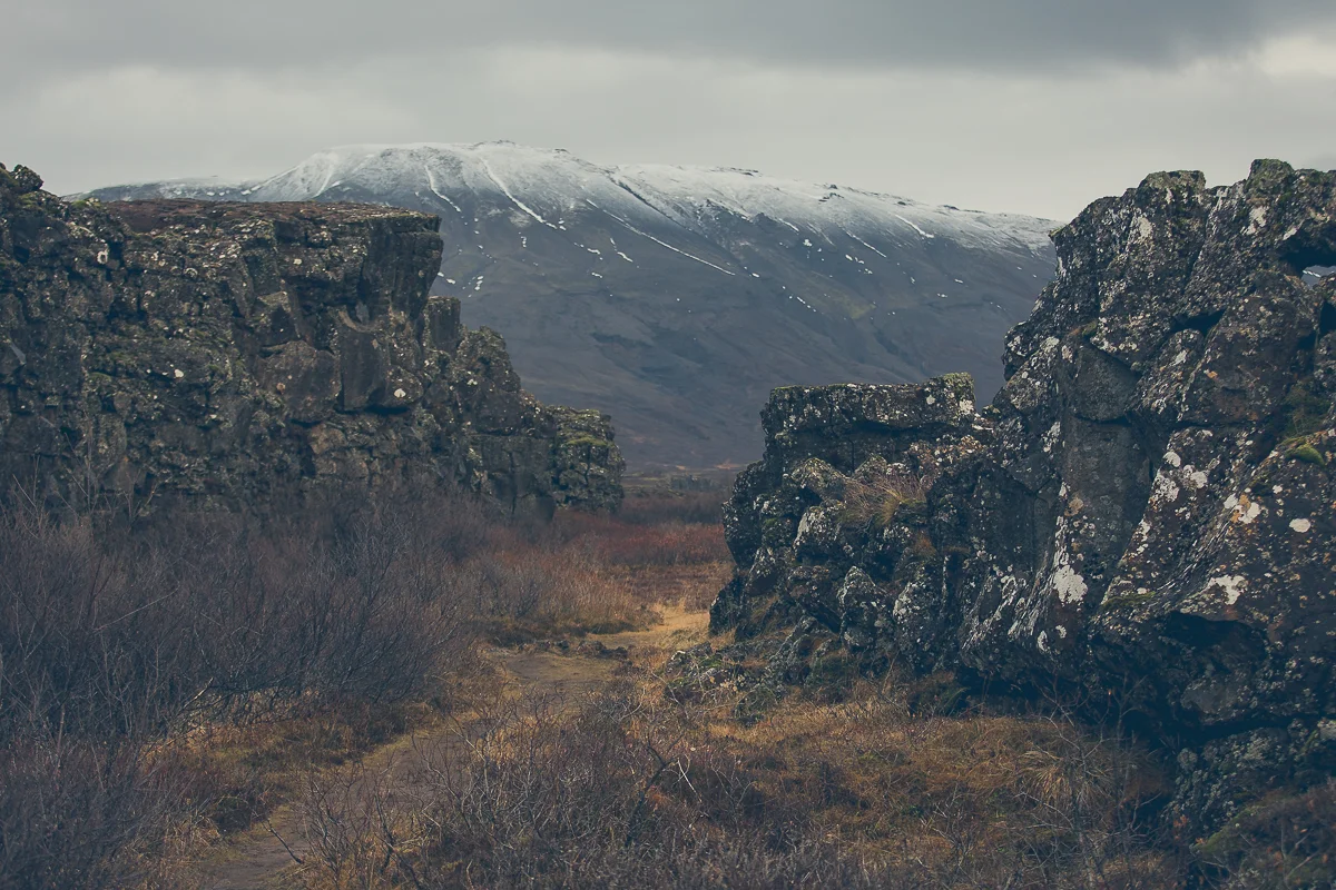 Embla-31.jpg