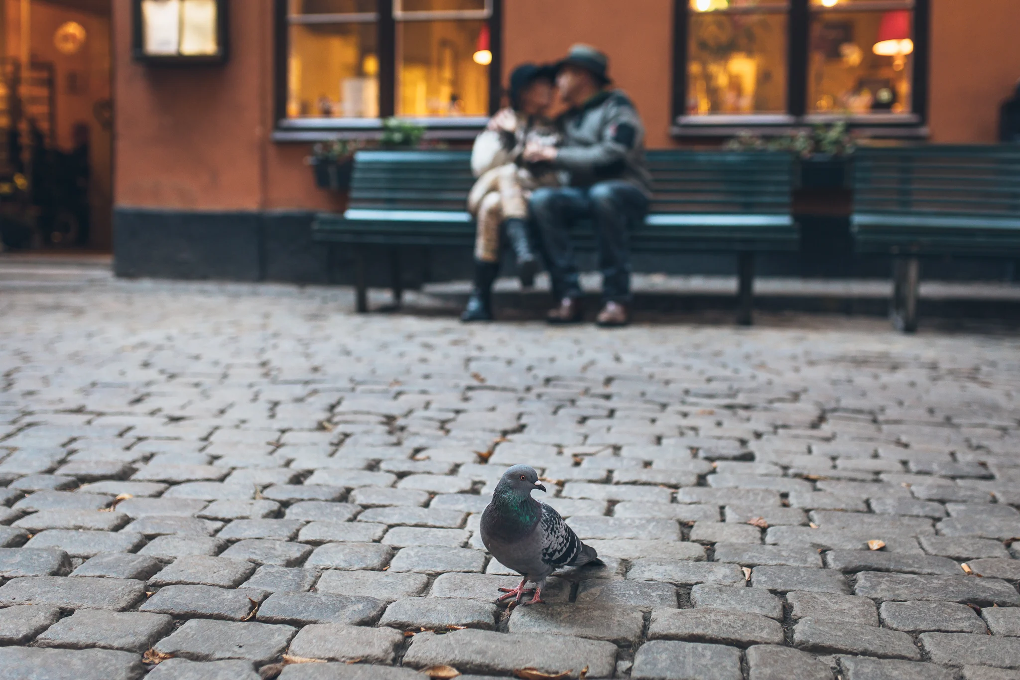 ourstories-sweden-019.jpg