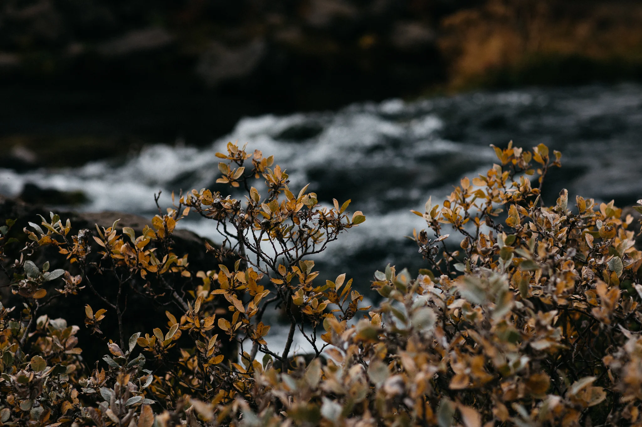 iceland engagement-026.jpg