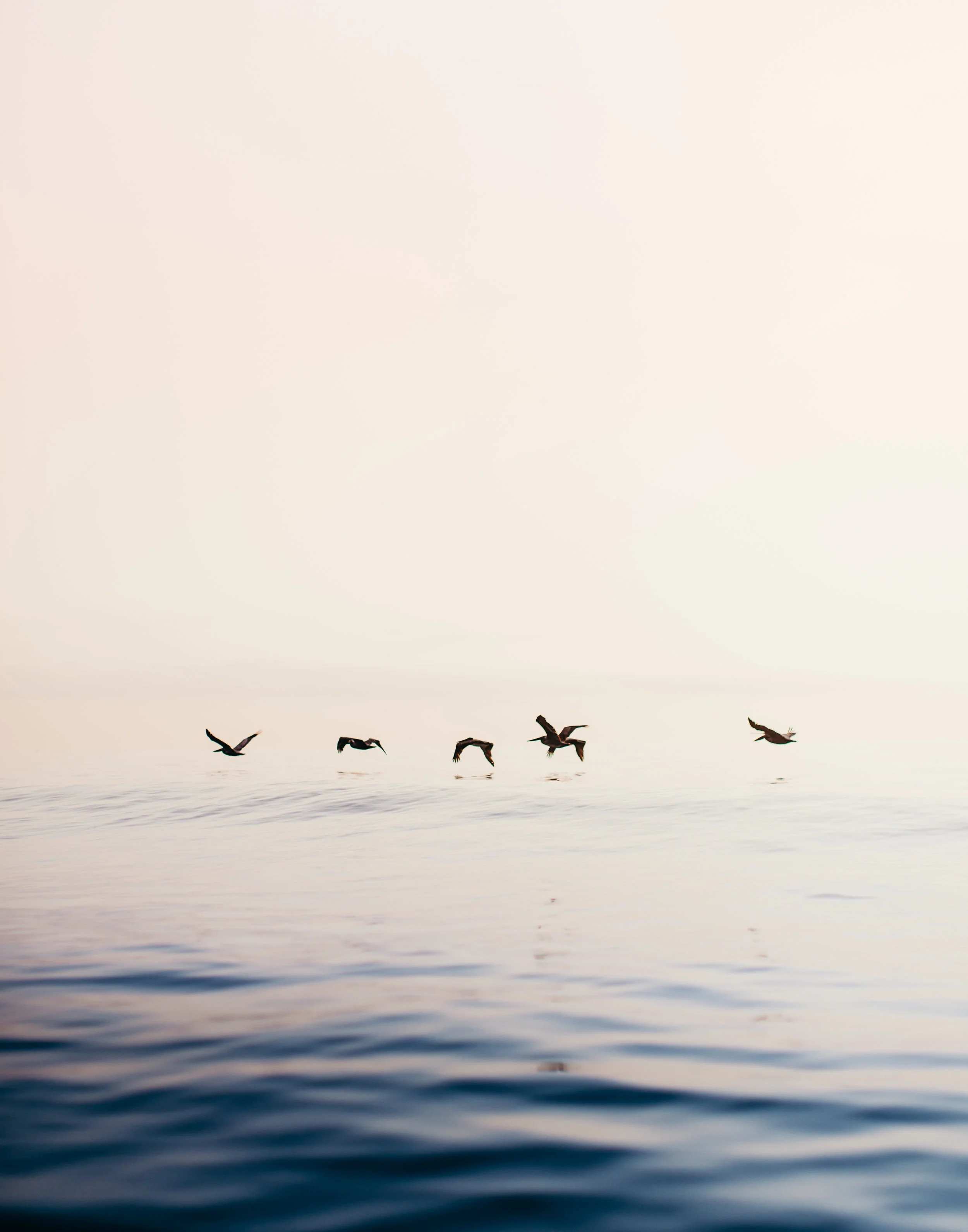 untitled-66.jpg