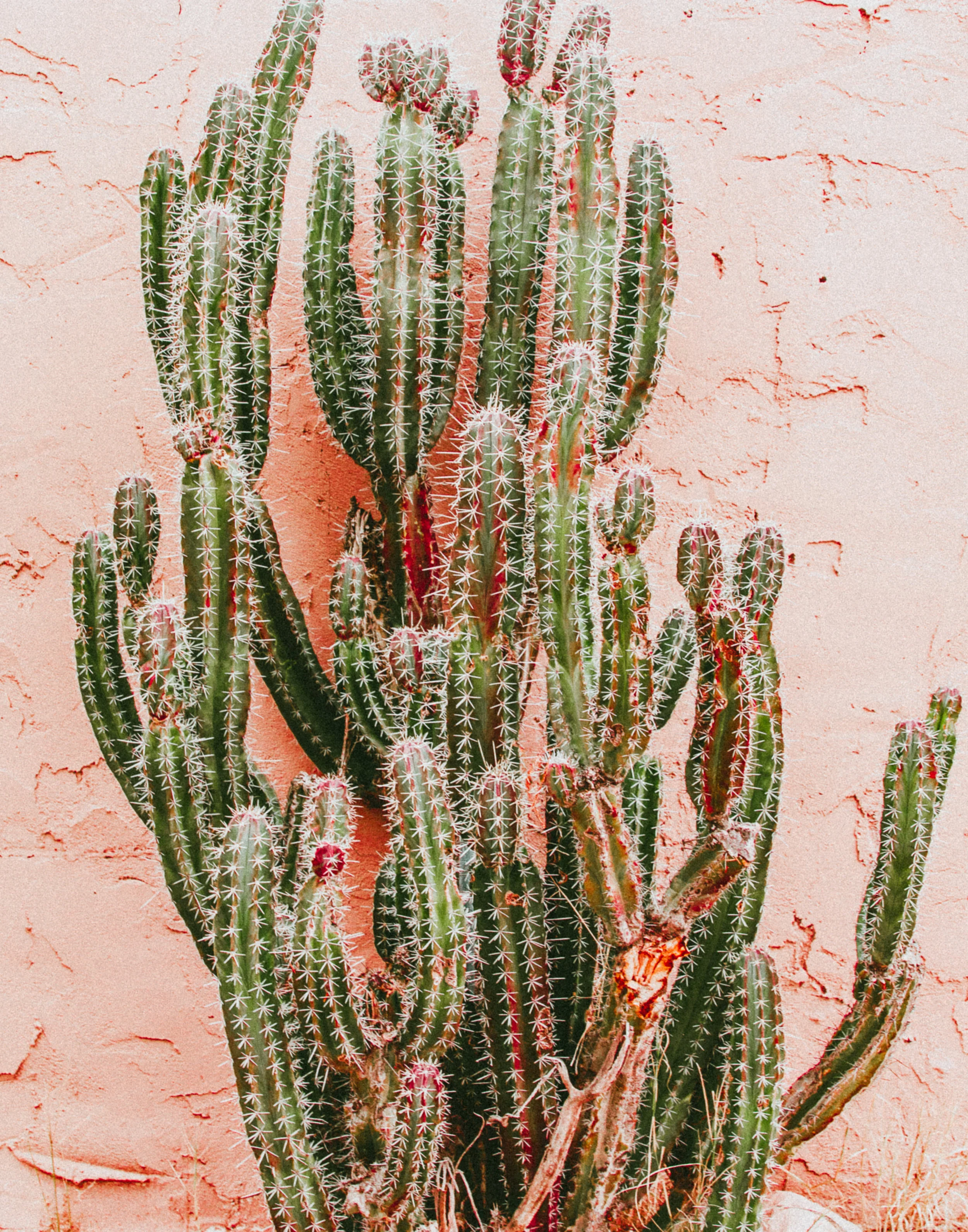 untitled-6.jpg