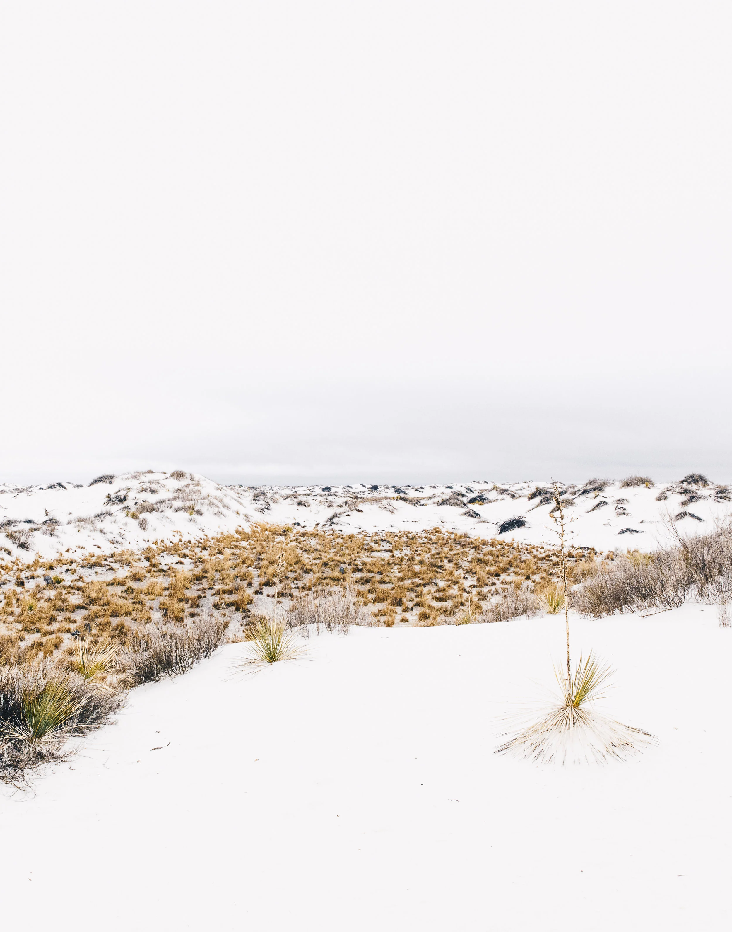 untitled-3.jpg