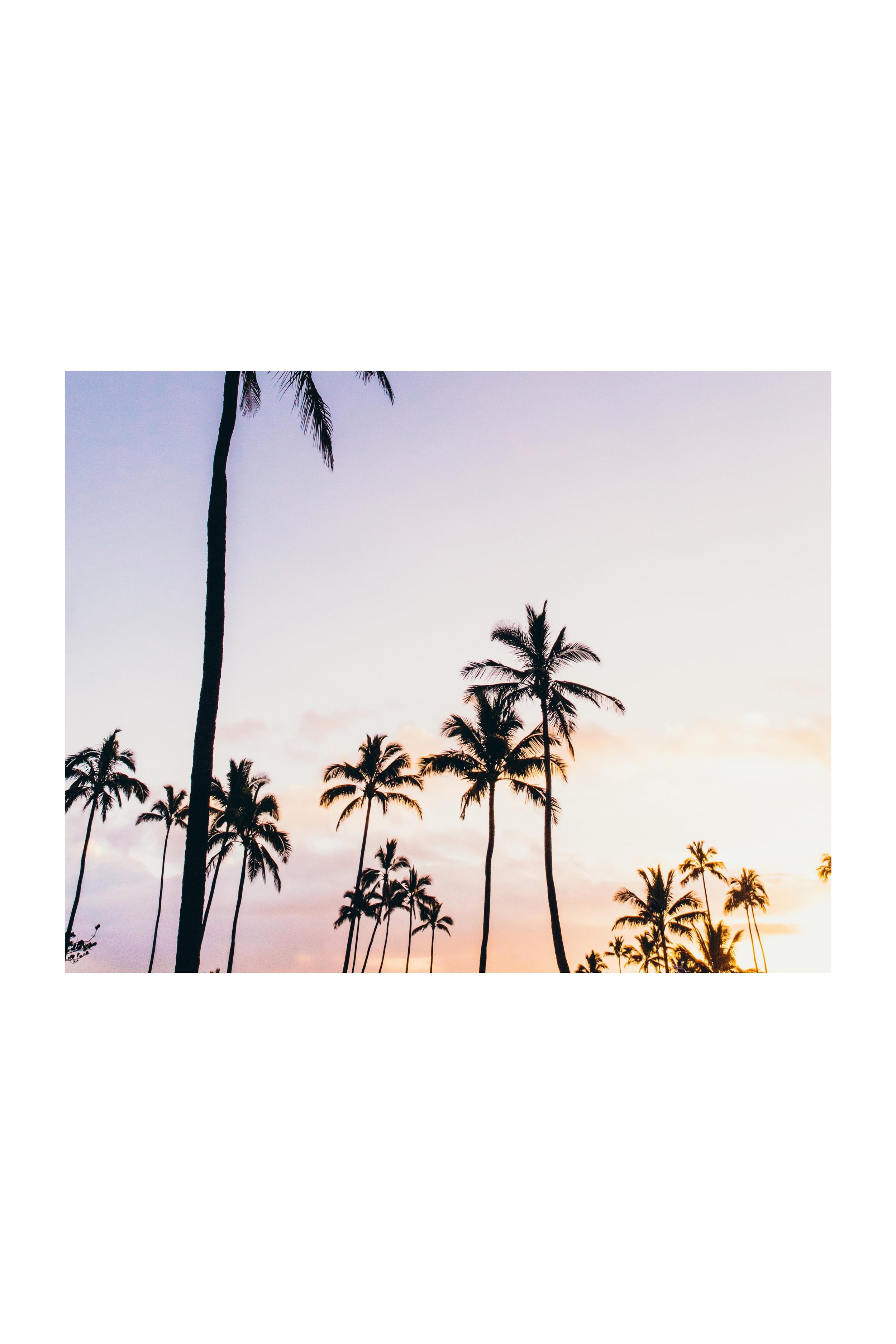 landscapes (1).jpg