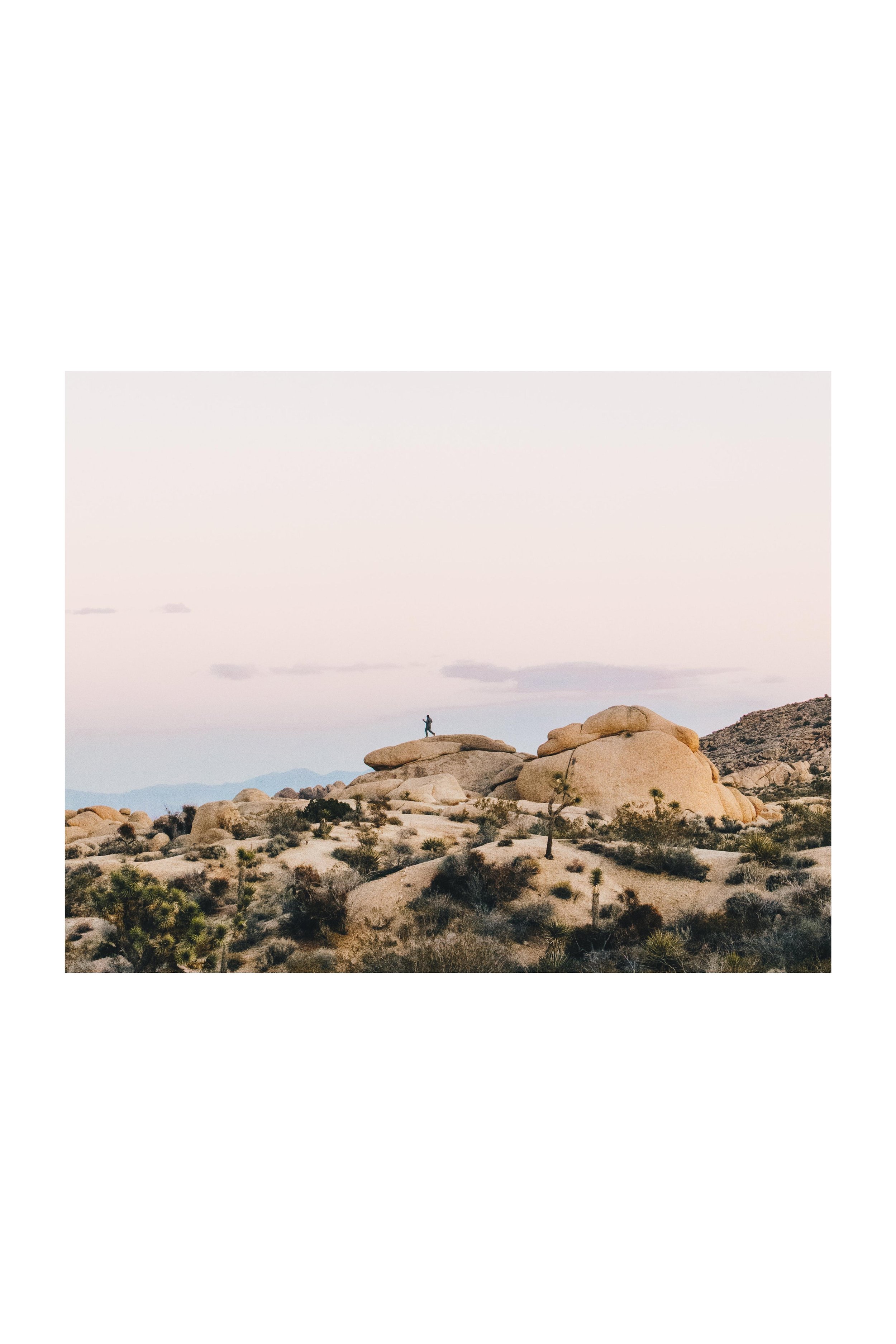 landscapes (1).jpg