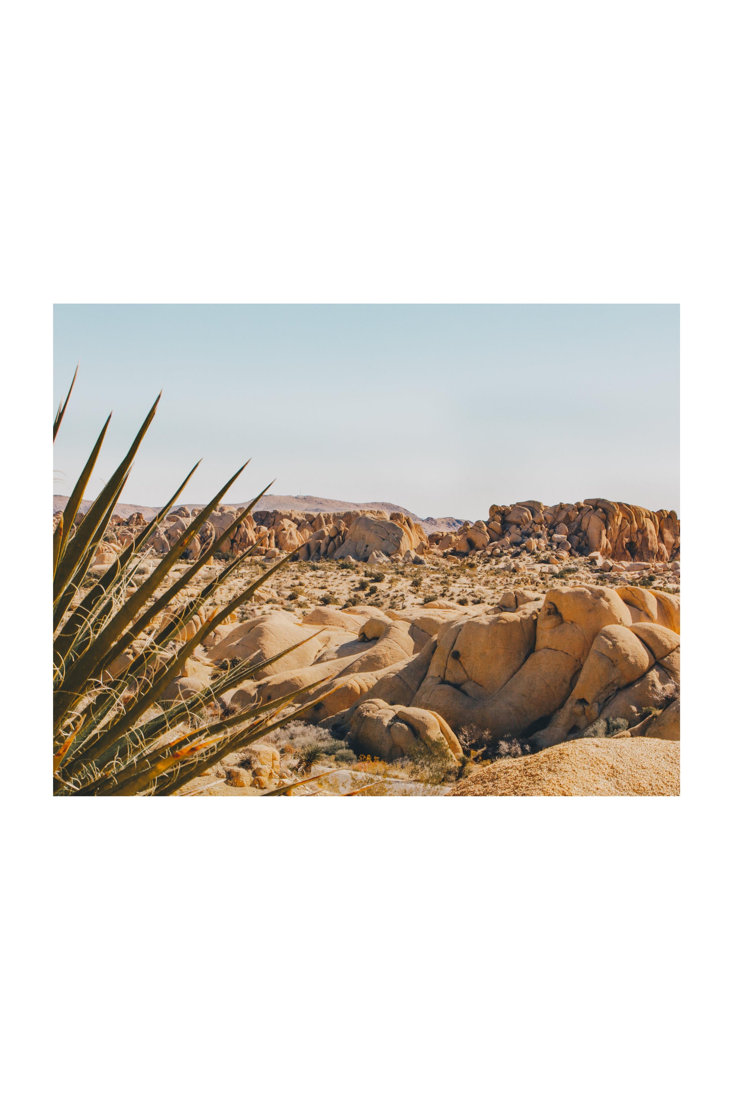 landscapes (1).jpg