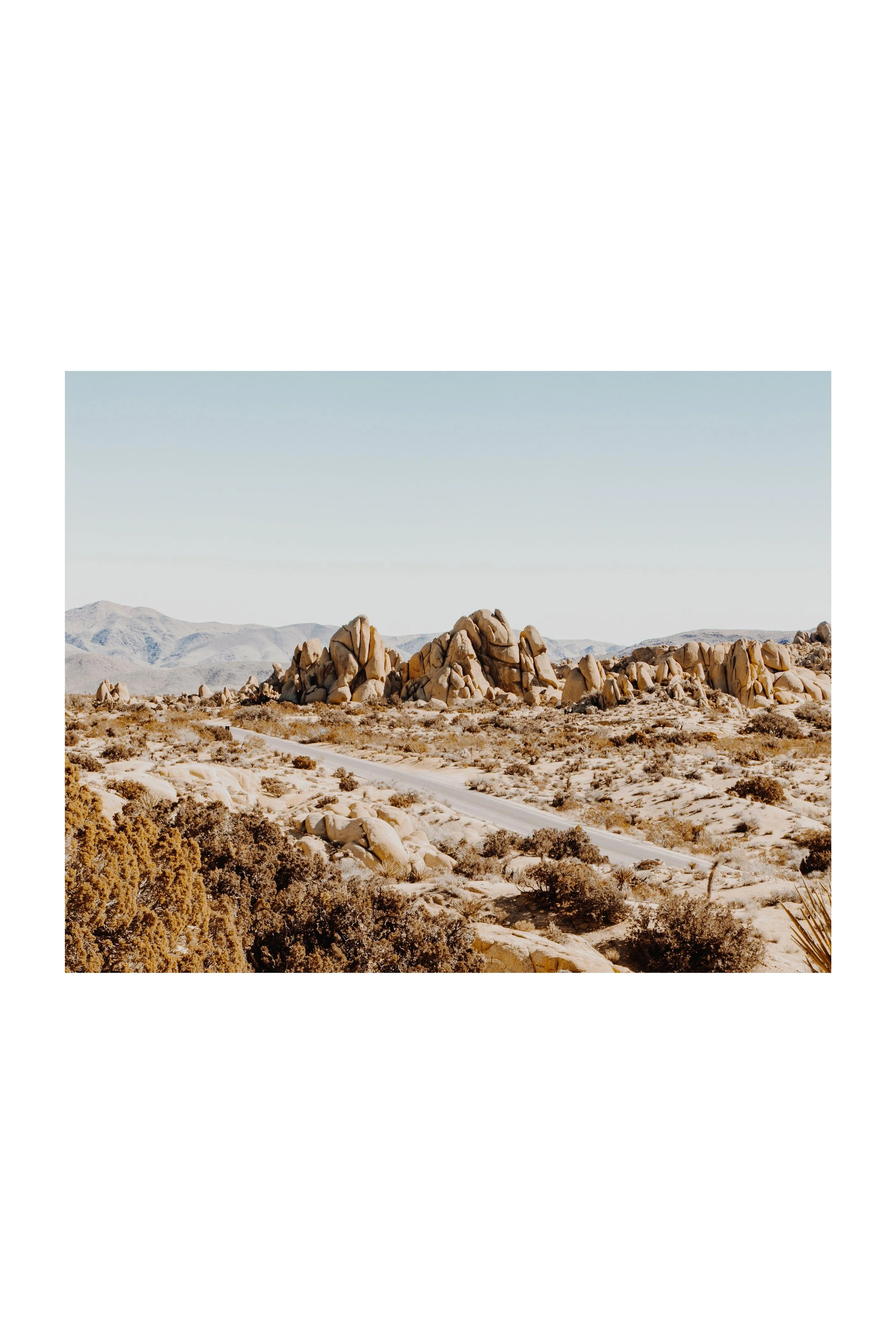 landscapes (1).jpg