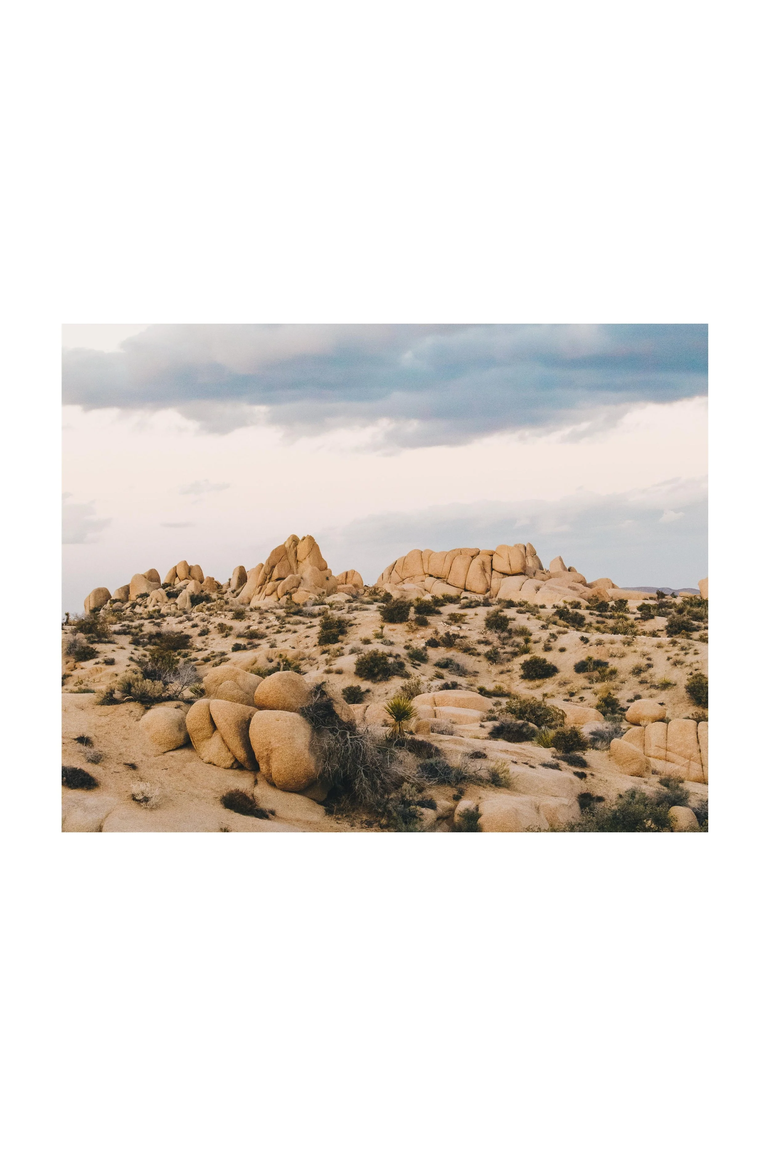 landscapes (1).jpg