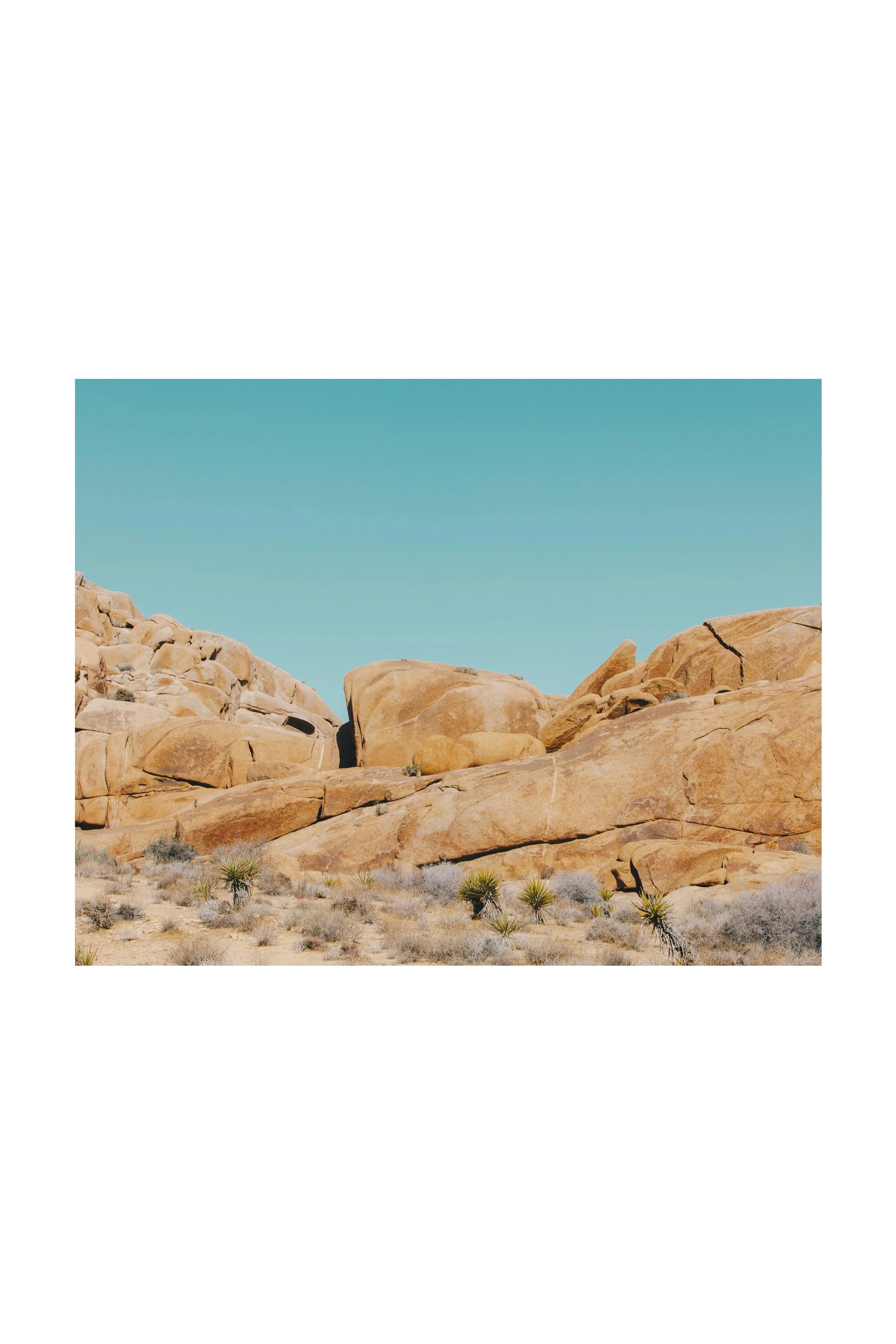 landscapes (1).jpg