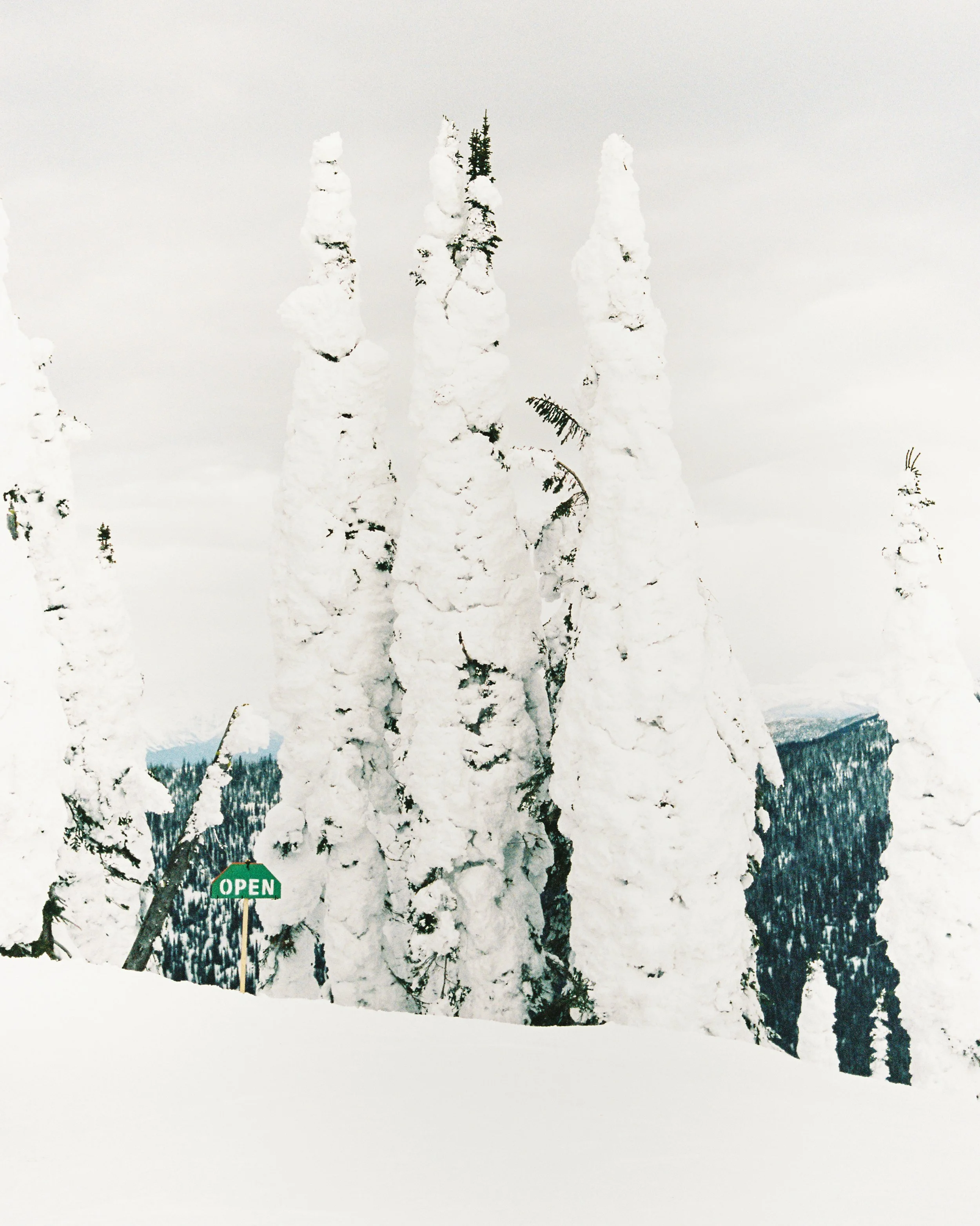 untitled-17.jpg